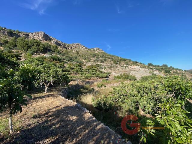 Vente de propriété rurale dans Otívar