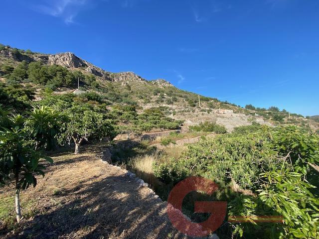 Venta de finca rústica en Otívar Venta de finca rústica en Otívar