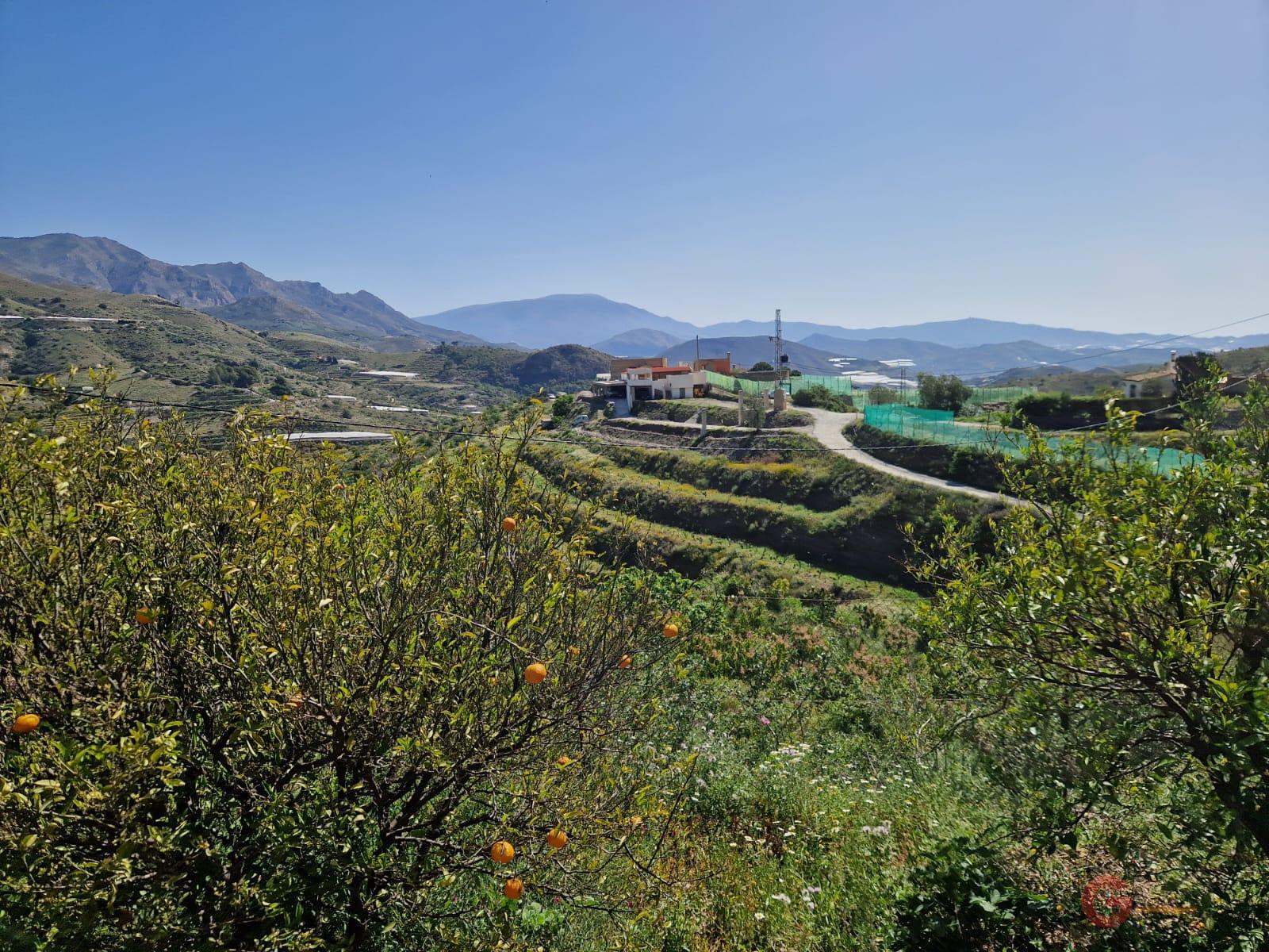 Vente de propriété rurale dans Itrabo