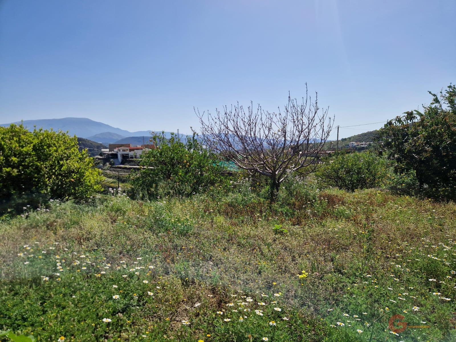 Vente de propriété rurale dans Itrabo