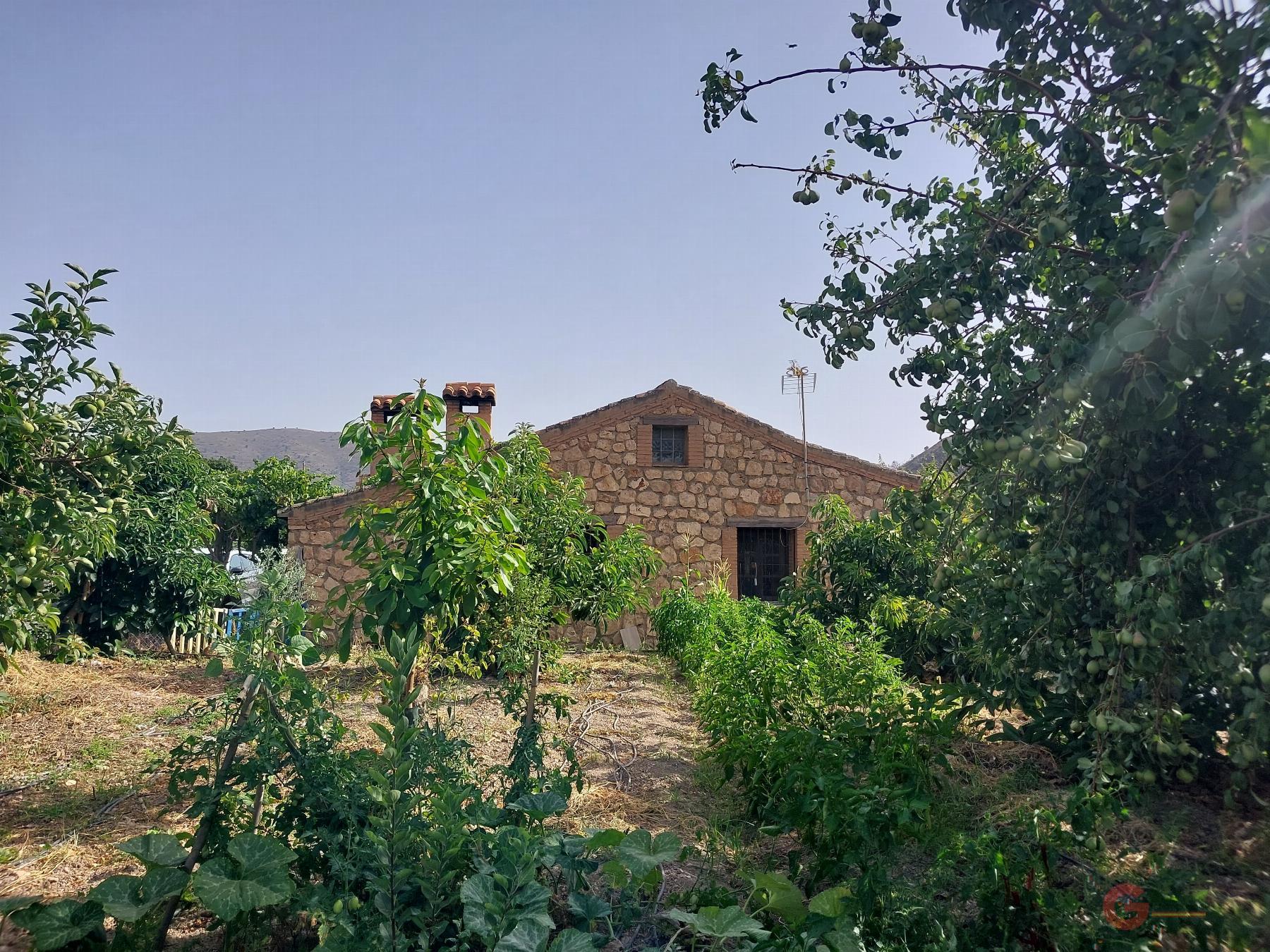 Vente de propriété rurale dans Vélez de Benaudalla