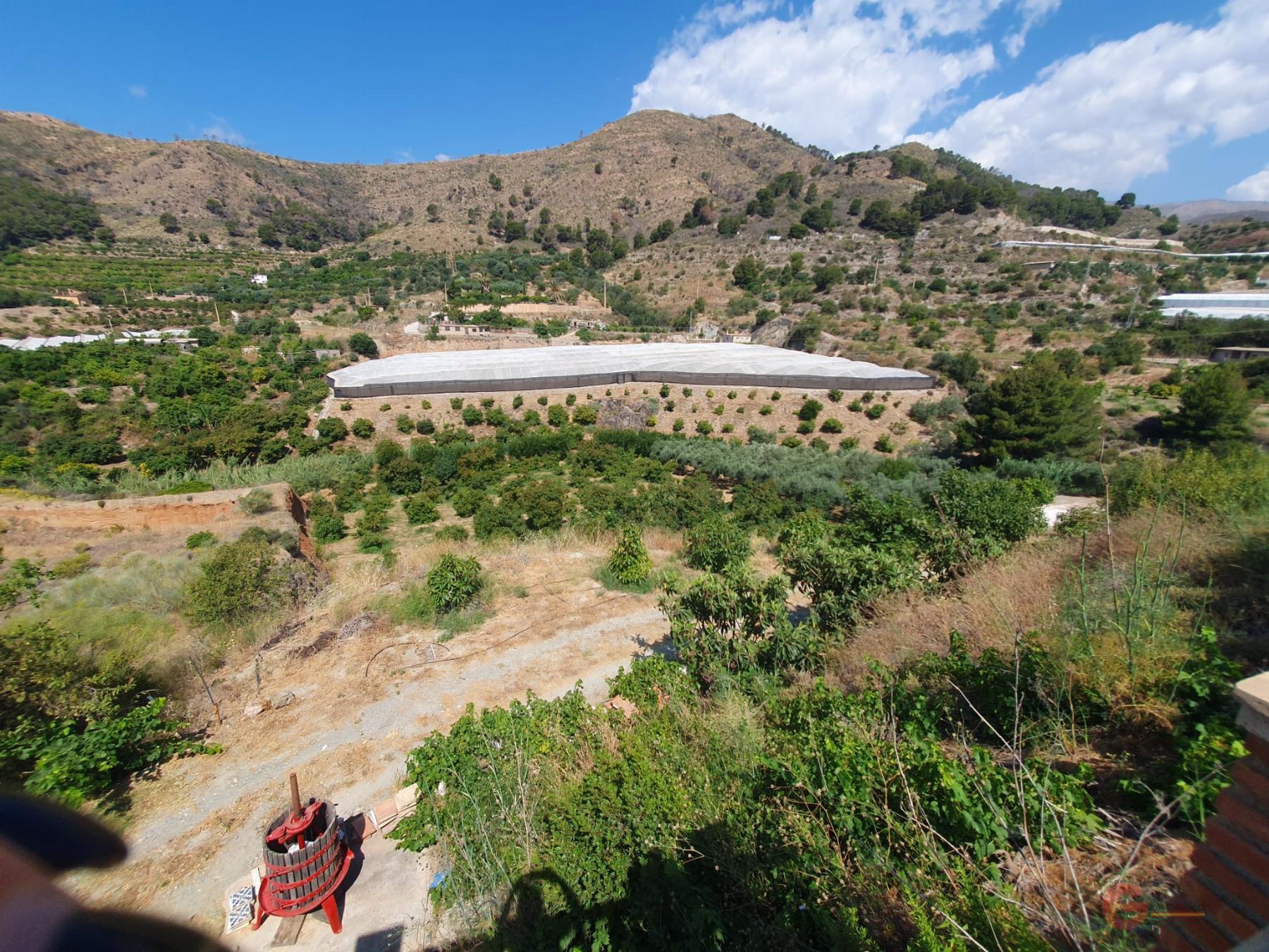 Vente de propriété rurale dans Vélez de Benaudalla