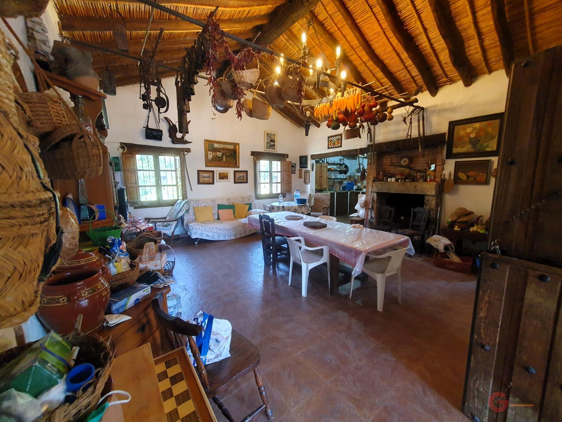 Vente de propriété rurale dans Vélez de Benaudalla