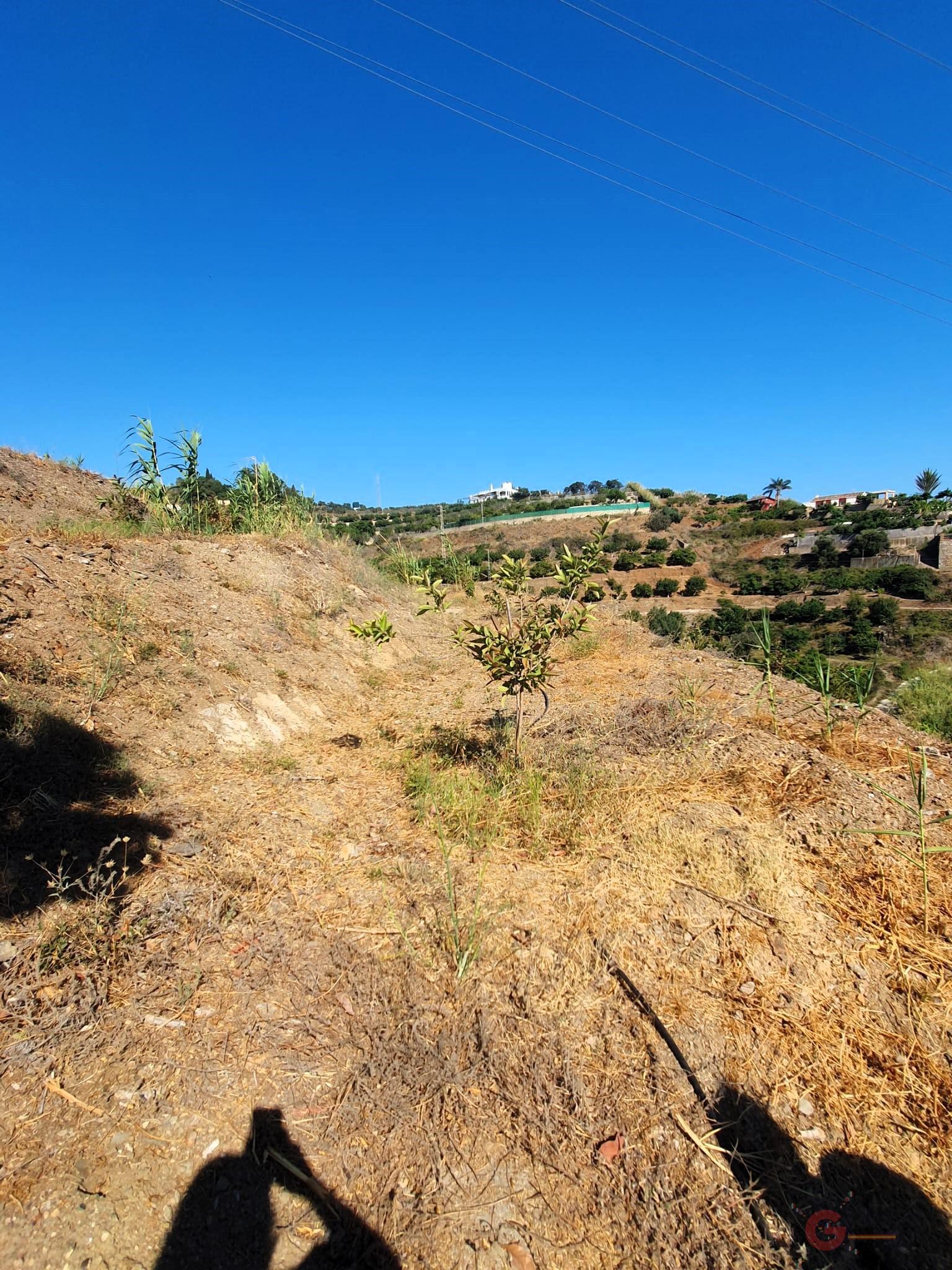 For sale of land in Motril