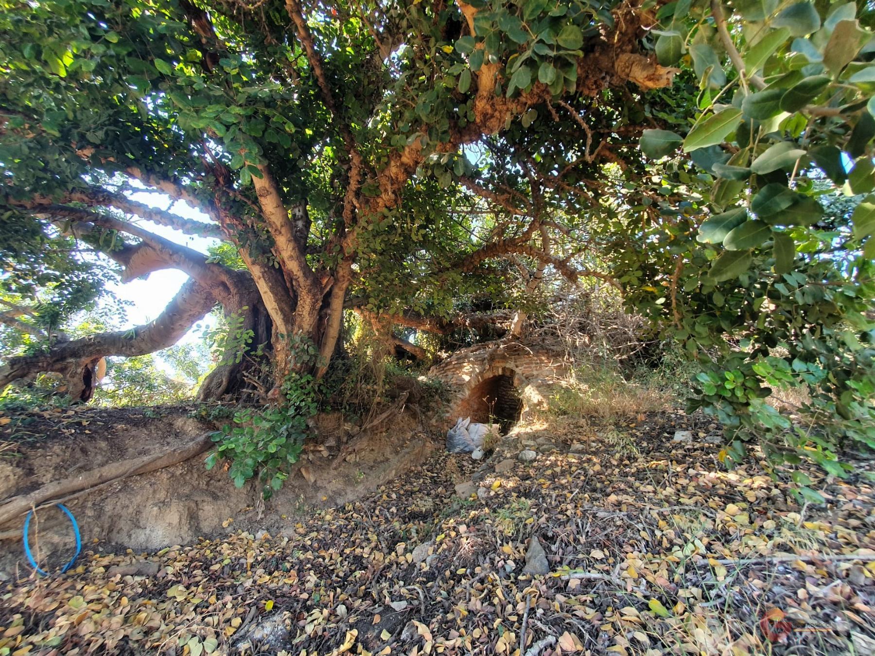 For sale of land in Motril