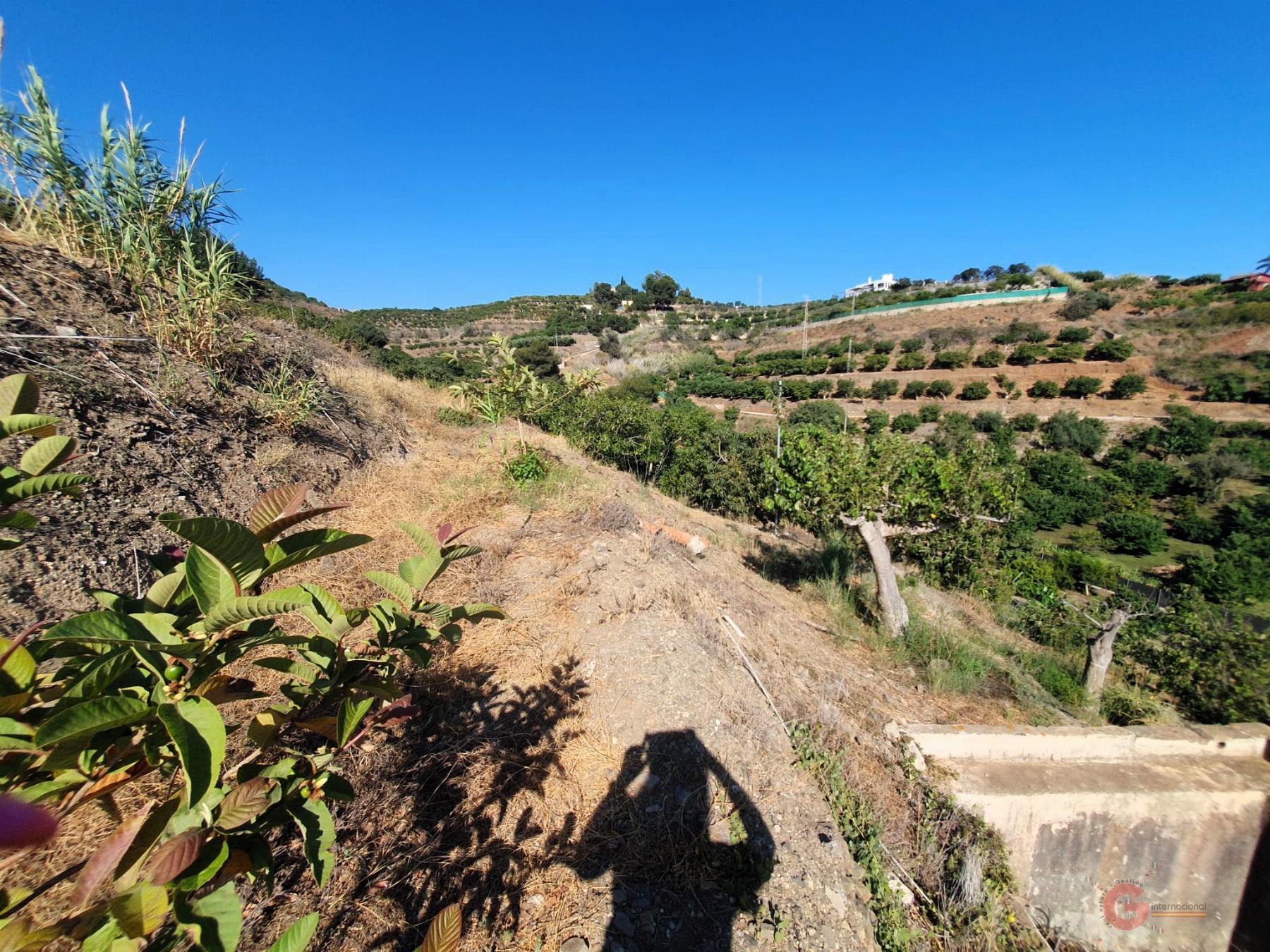 For sale of land in Motril