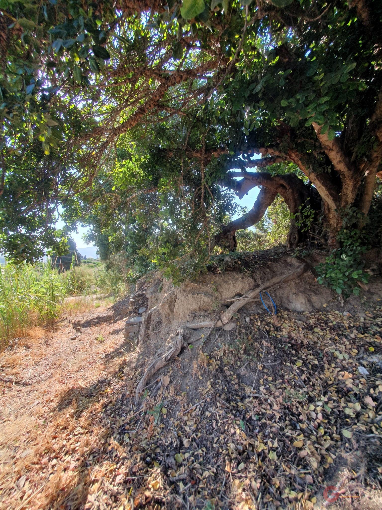 For sale of land in Motril
