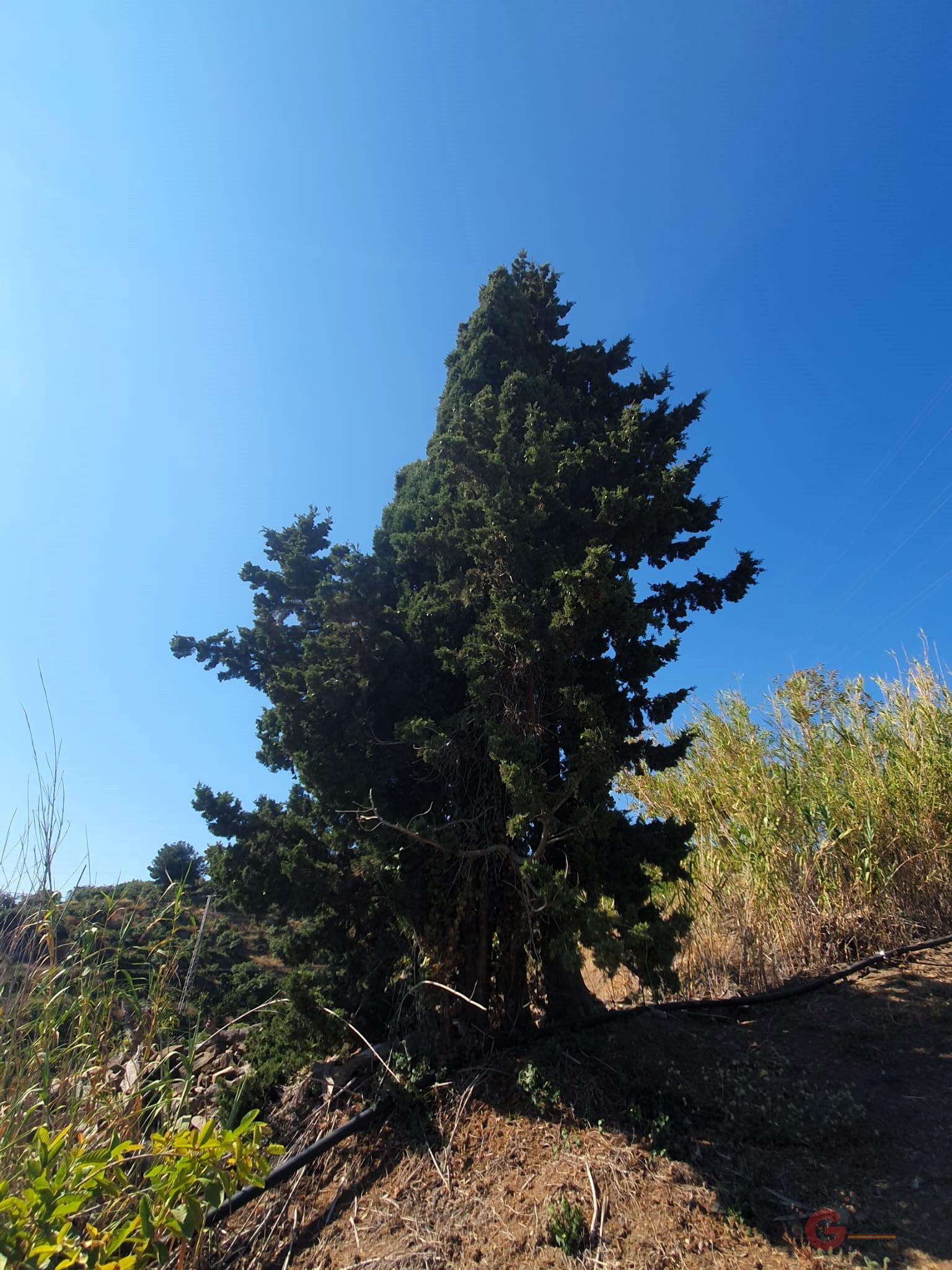 For sale of land in Motril
