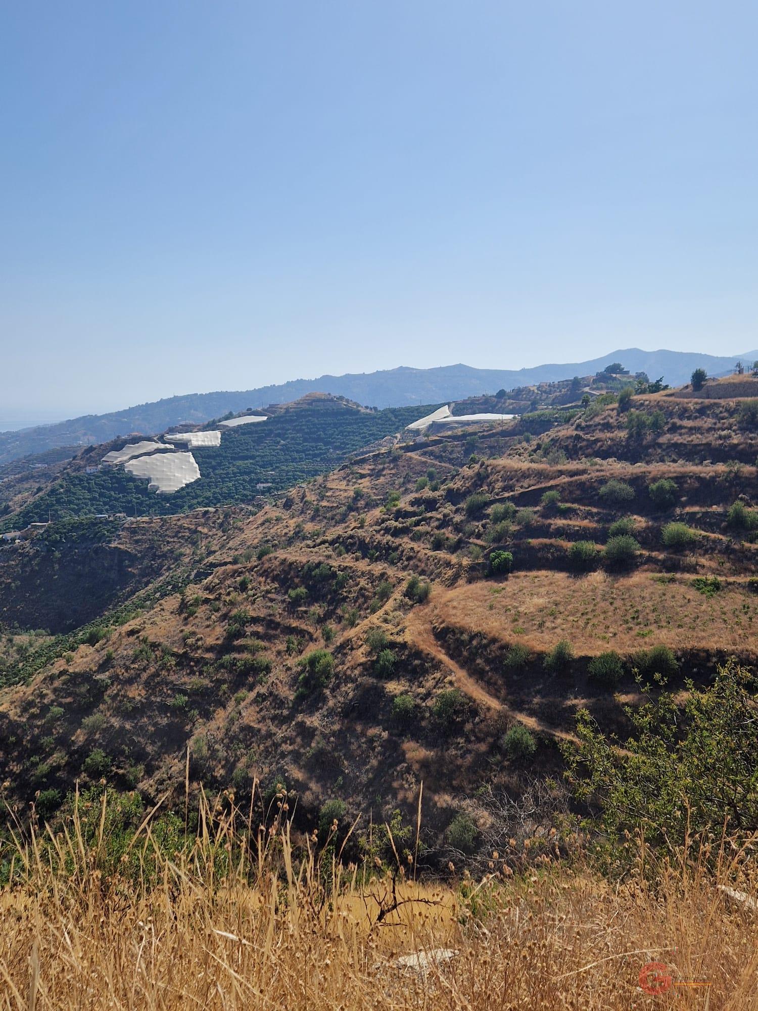 For sale of land in Itrabo