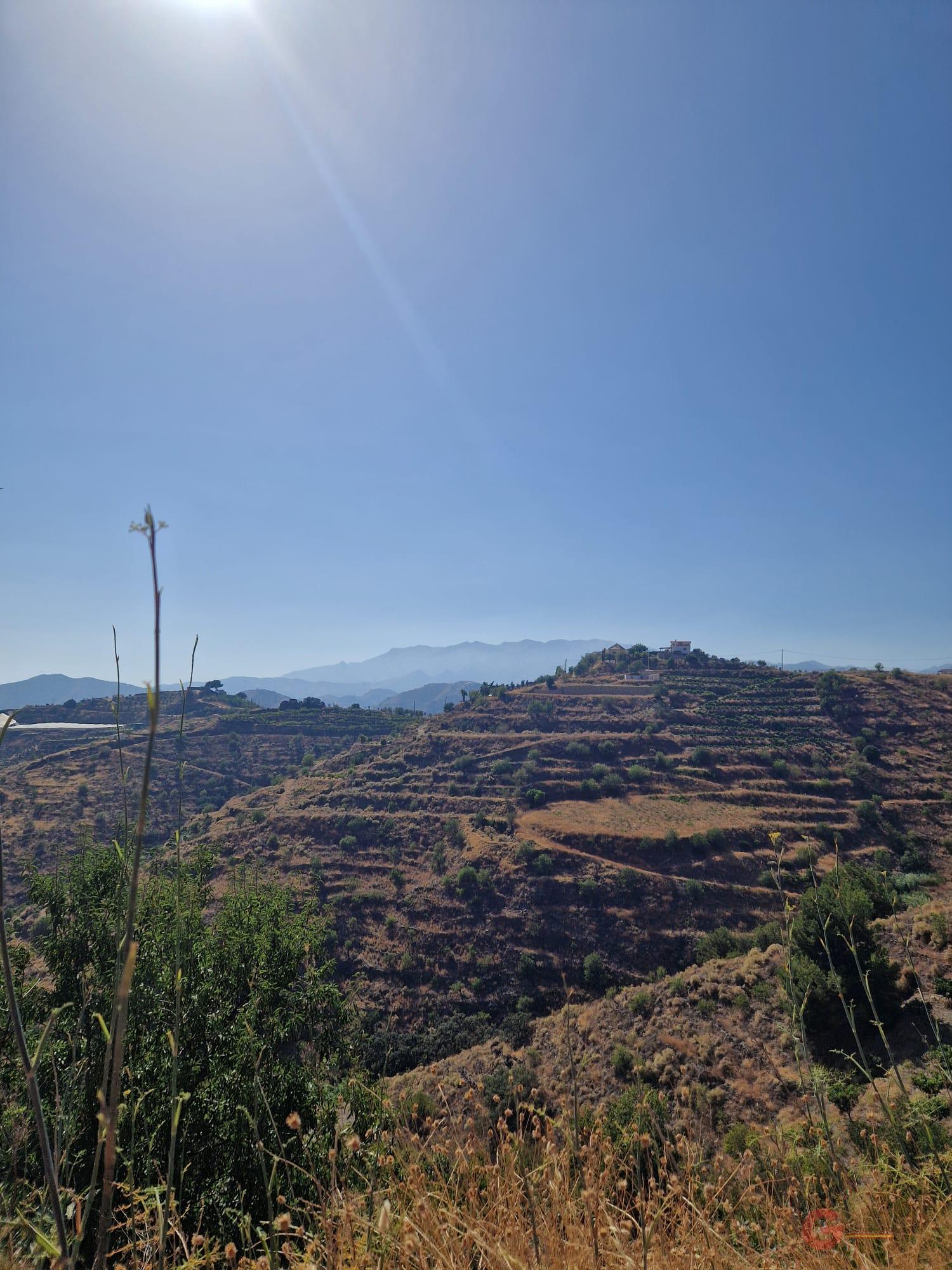 For sale of land in Itrabo