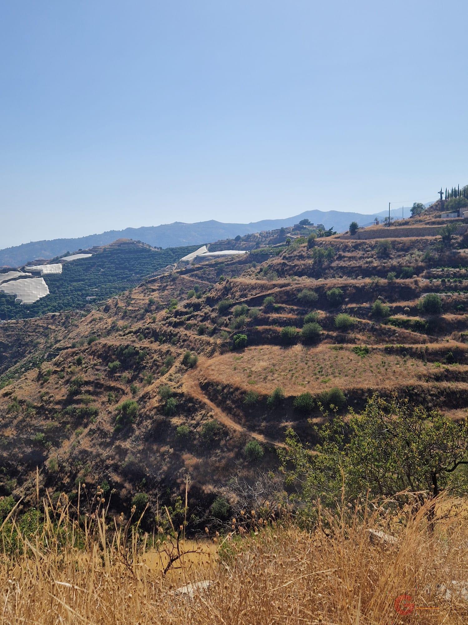 For sale of land in Itrabo