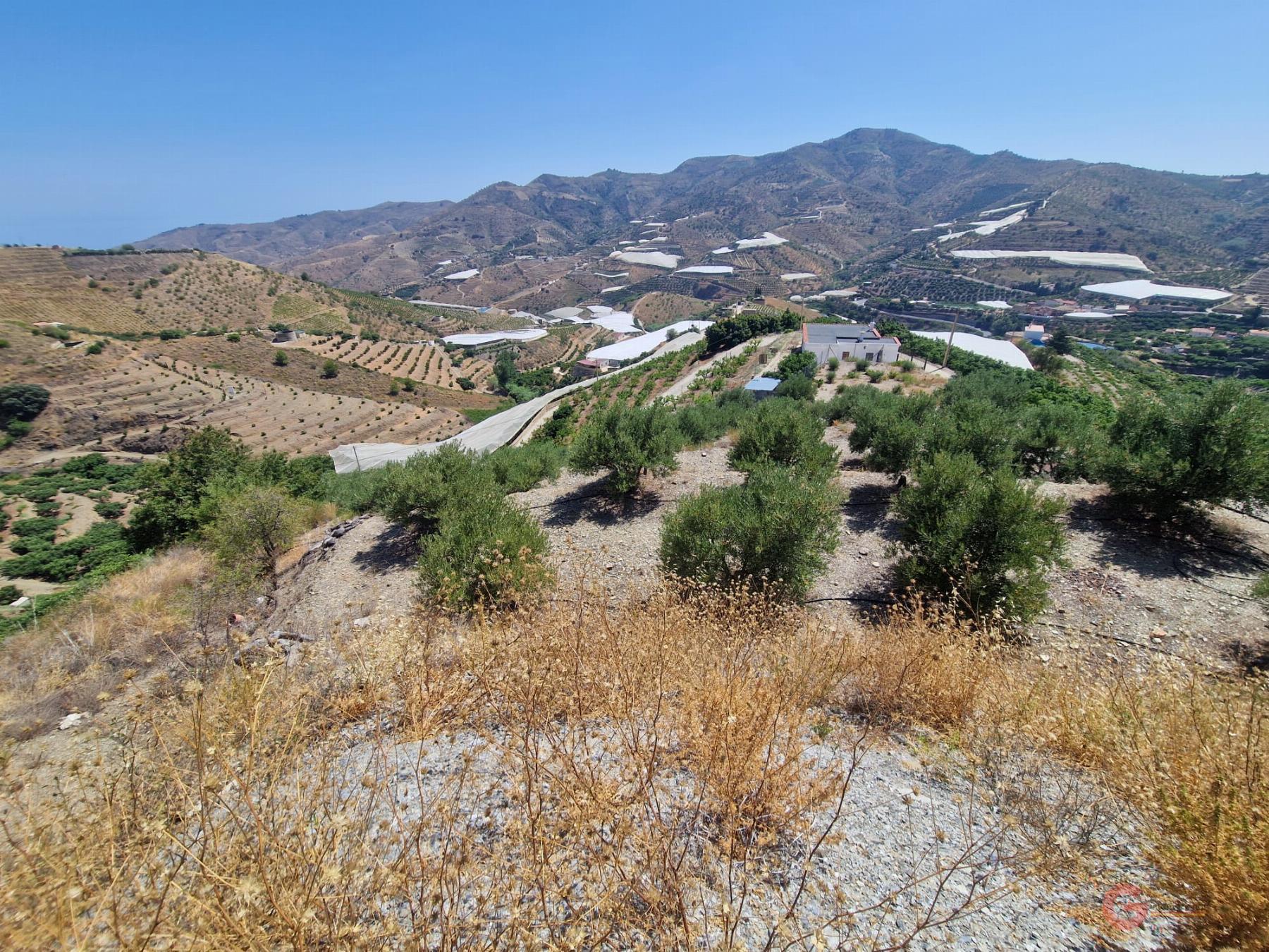 For sale of rural property in Itrabo