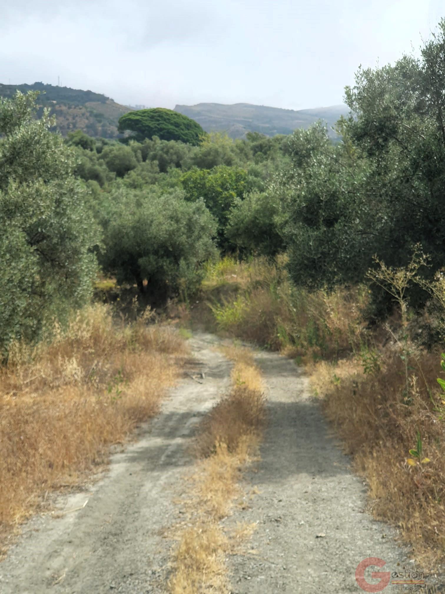 Venta de finca rústica en Lanjarón Venta de finca rústica en Lanjarón