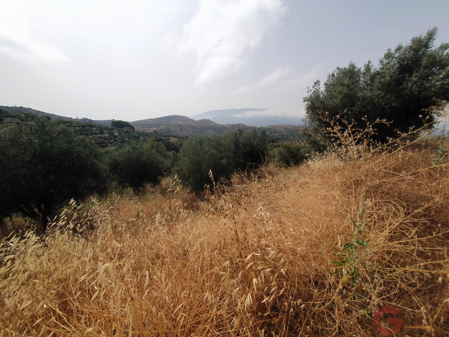 Venta de finca rústica en Lanjarón Venta de finca rústica en Lanjarón