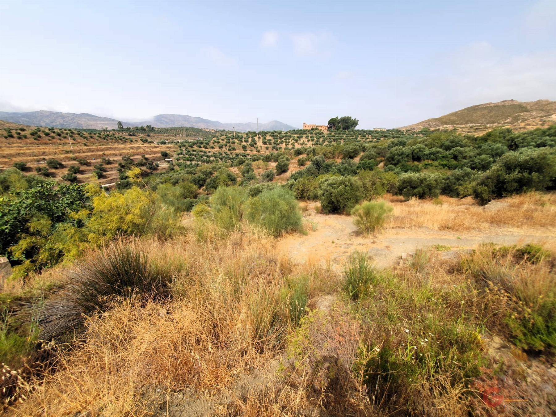 For sale of rural property in Lanjarón