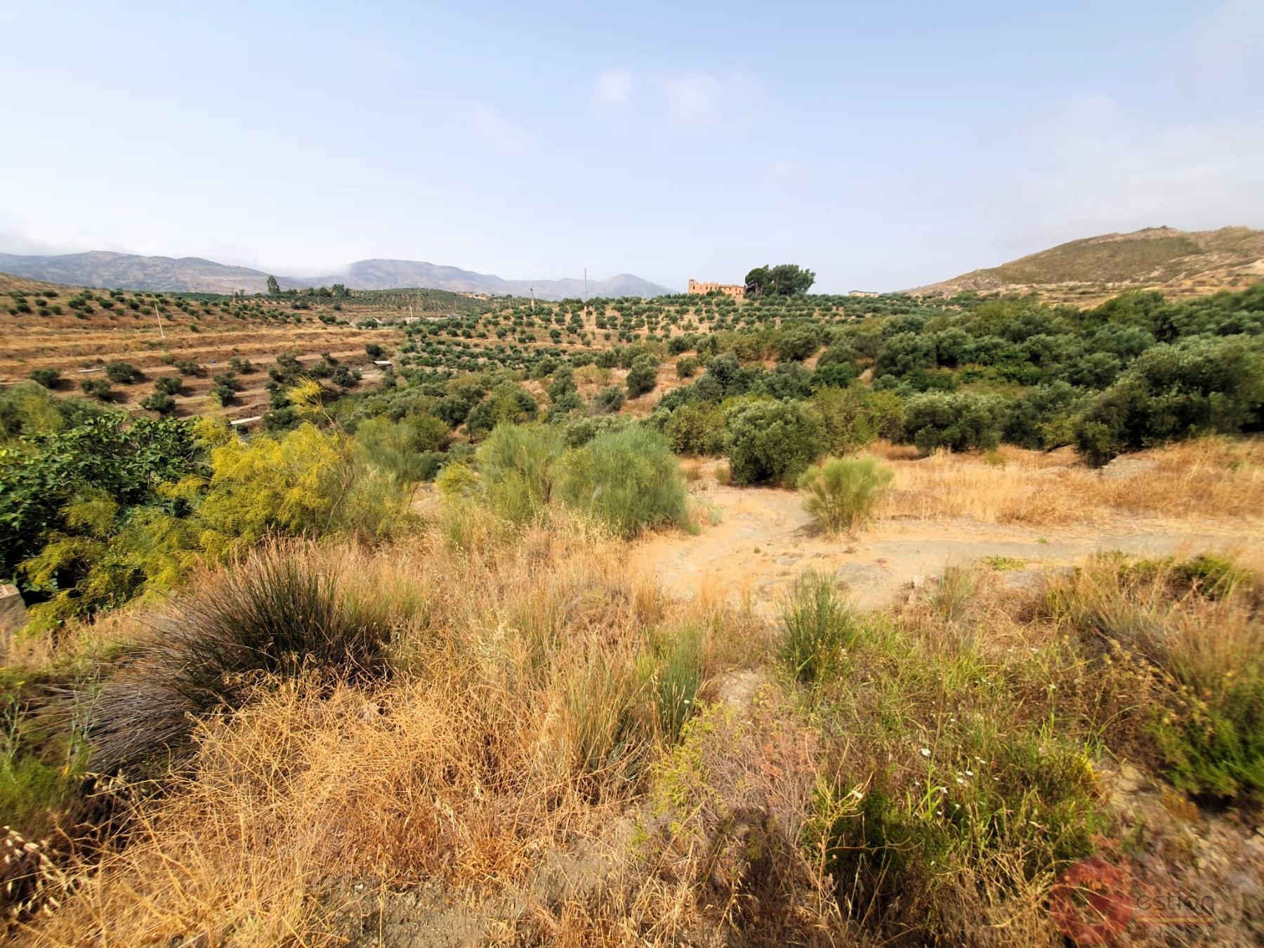 Venta de finca rústica en Lanjarón Venta de finca rústica en Lanjarón