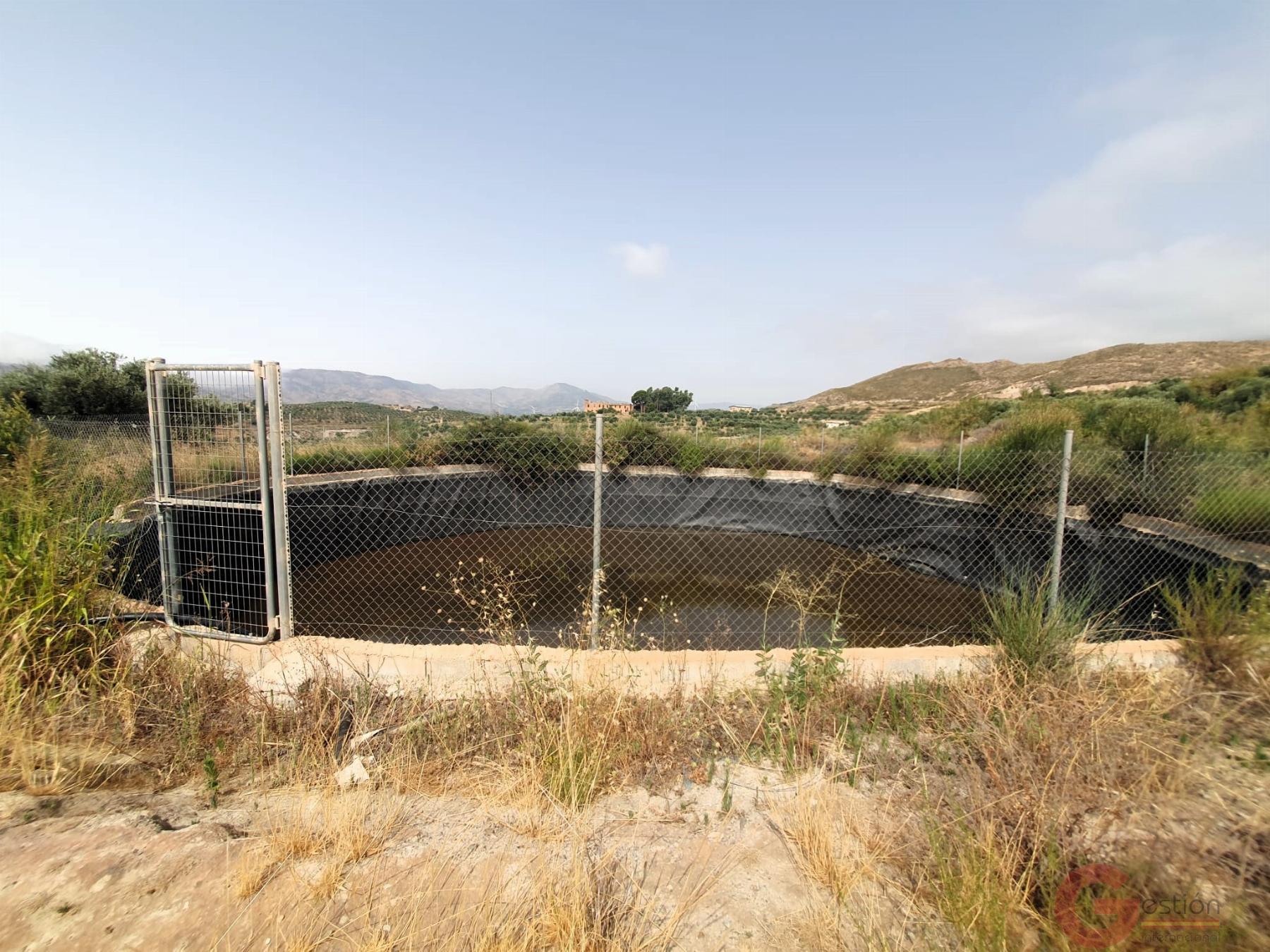 Venta de finca rústica en Lanjarón Venta de finca rústica en Lanjarón