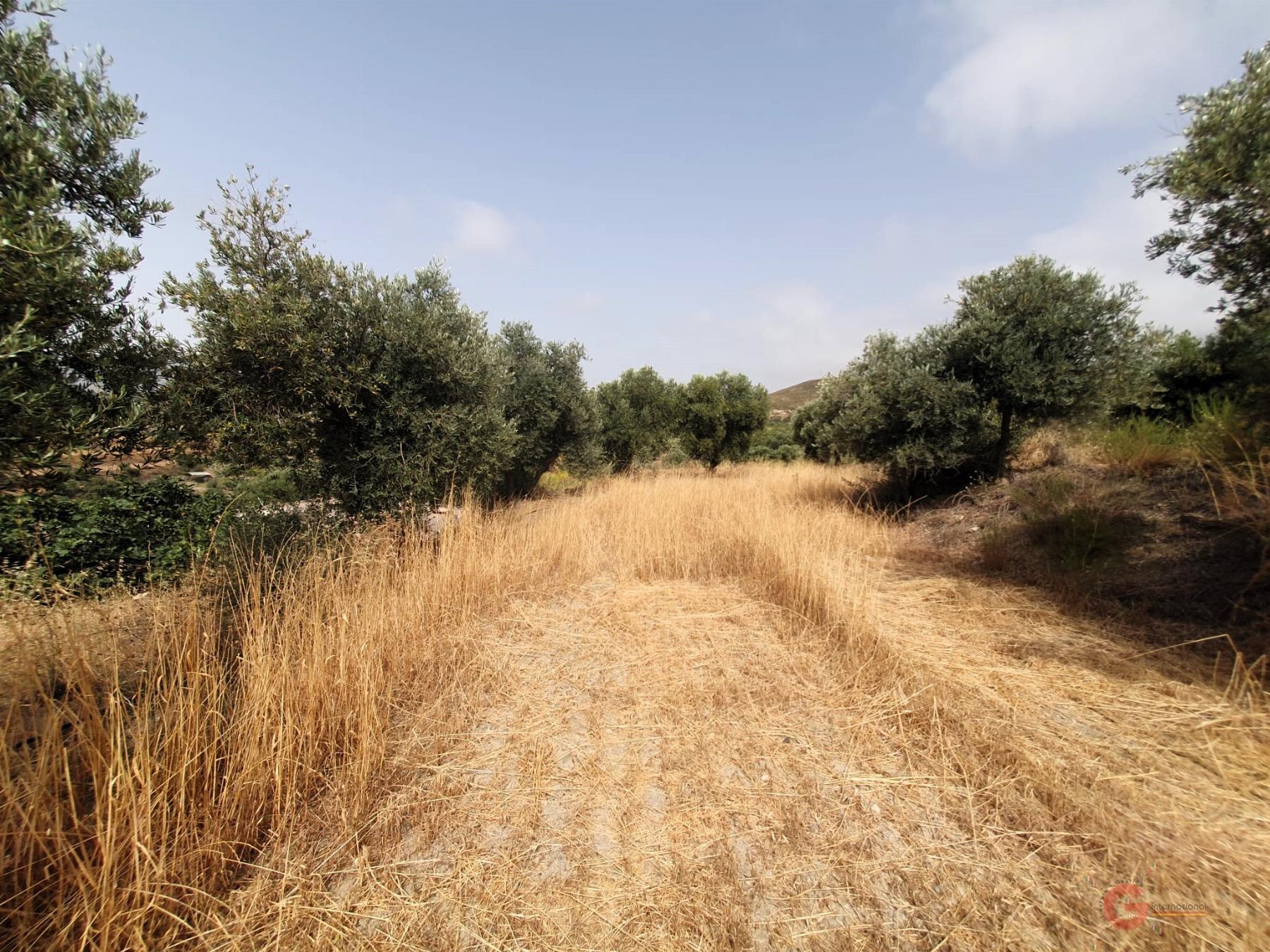 For sale of rural property in Lanjarón