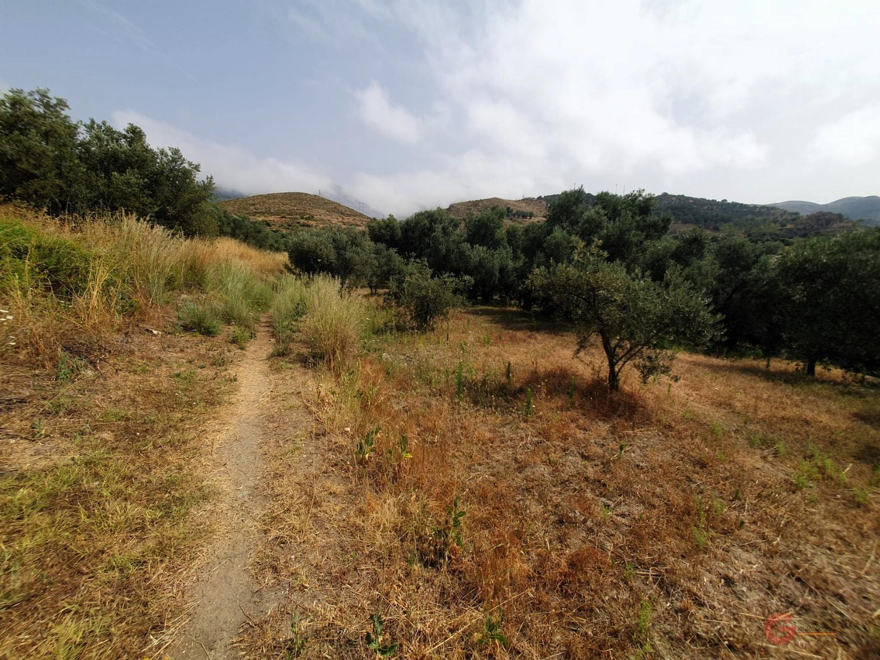 For sale of rural property in Lanjarón