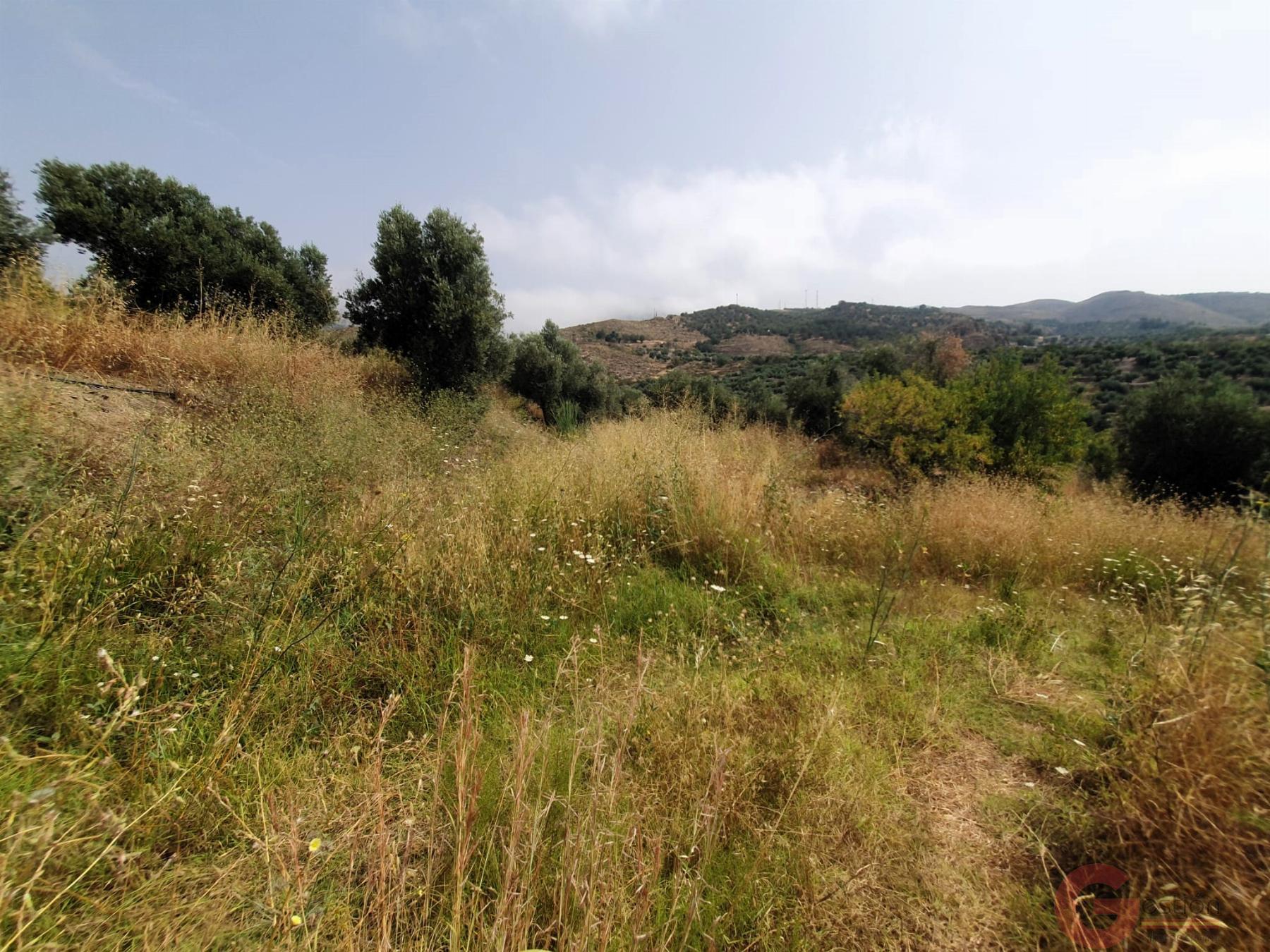 Venta de finca rústica en Lanjarón Venta de finca rústica en Lanjarón