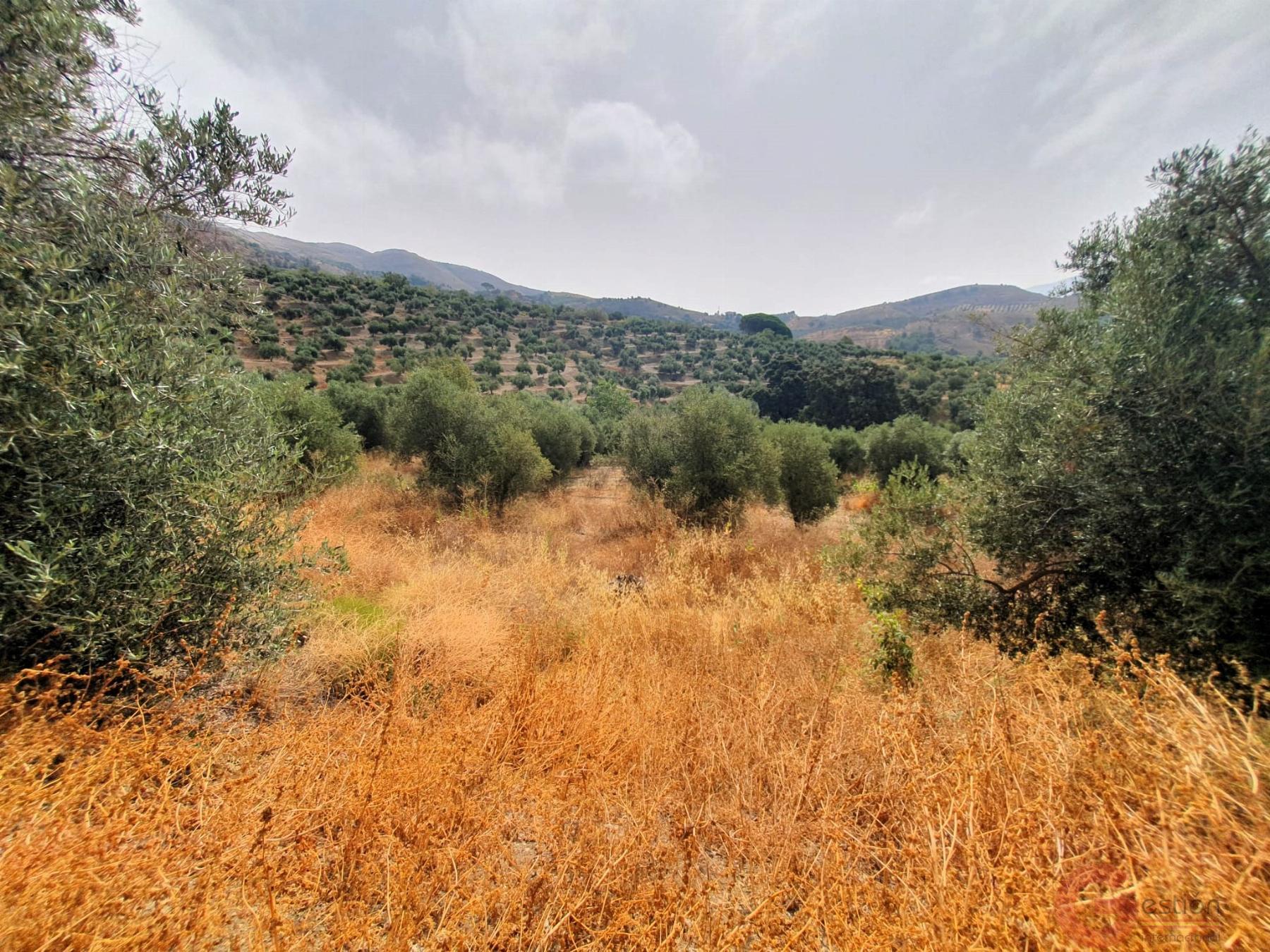 Venta de finca rústica en Lanjarón Venta de finca rústica en Lanjarón