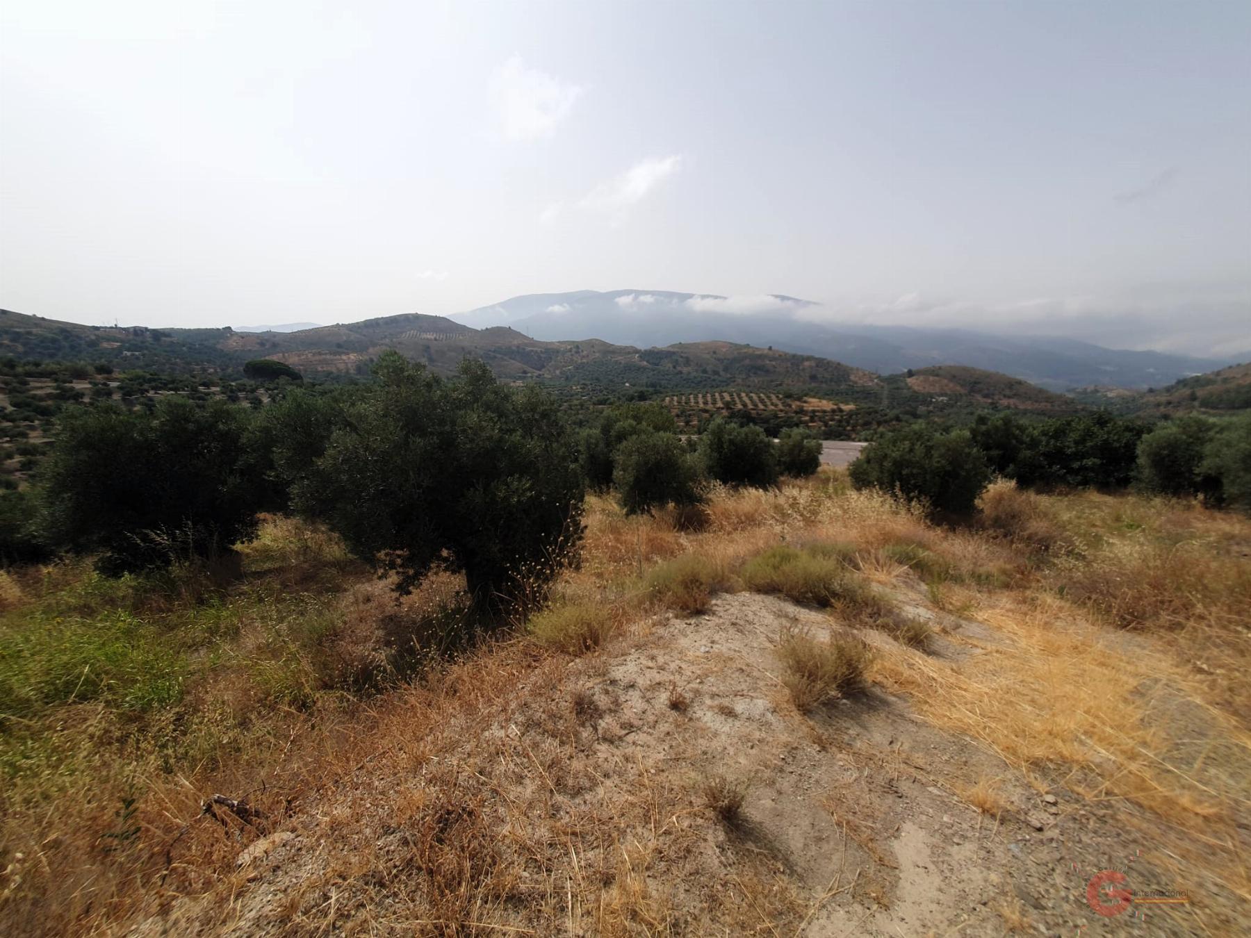 For sale of rural property in Lanjarón