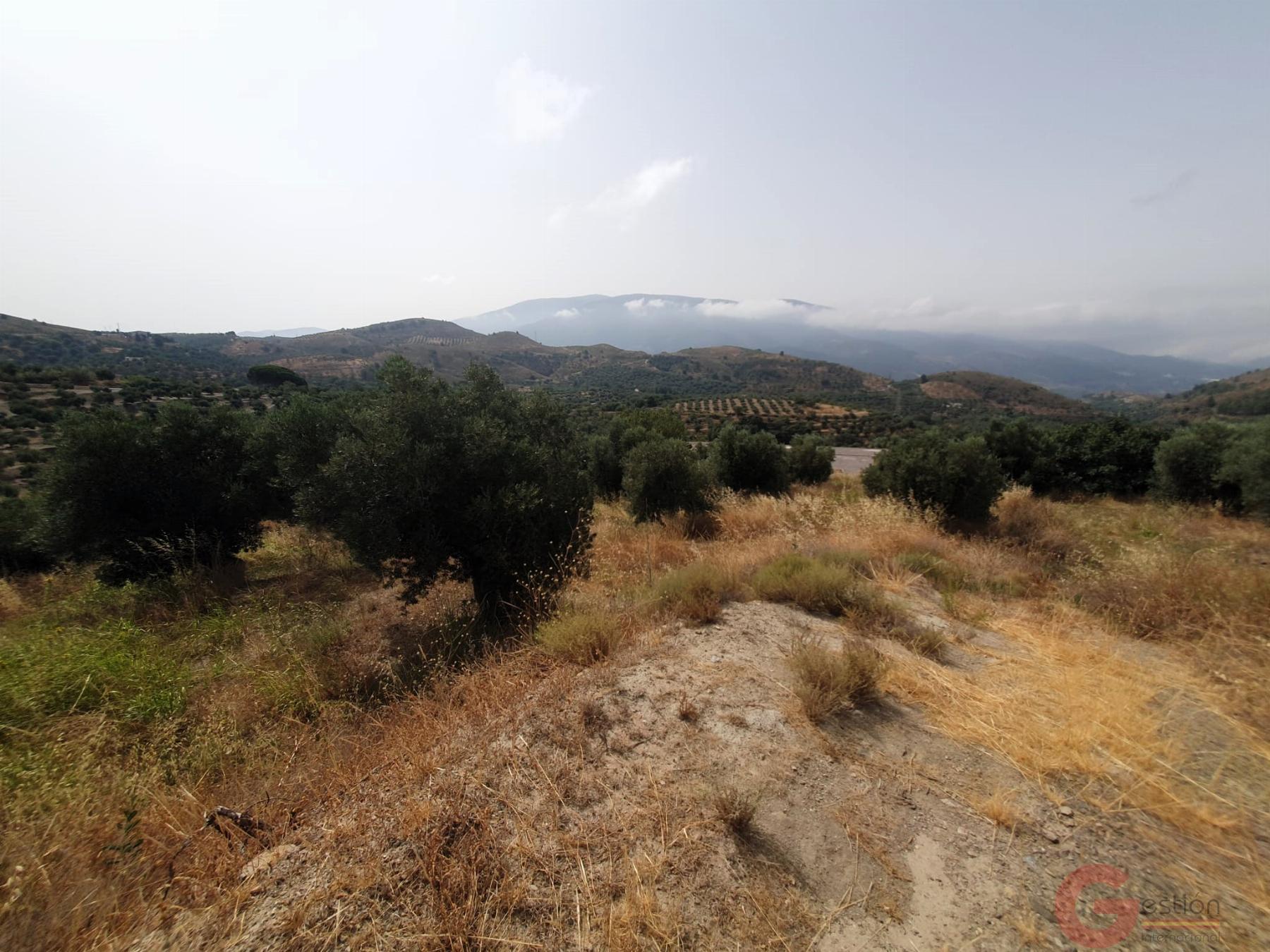 Venta de finca rústica en Lanjarón Venta de finca rústica en Lanjarón