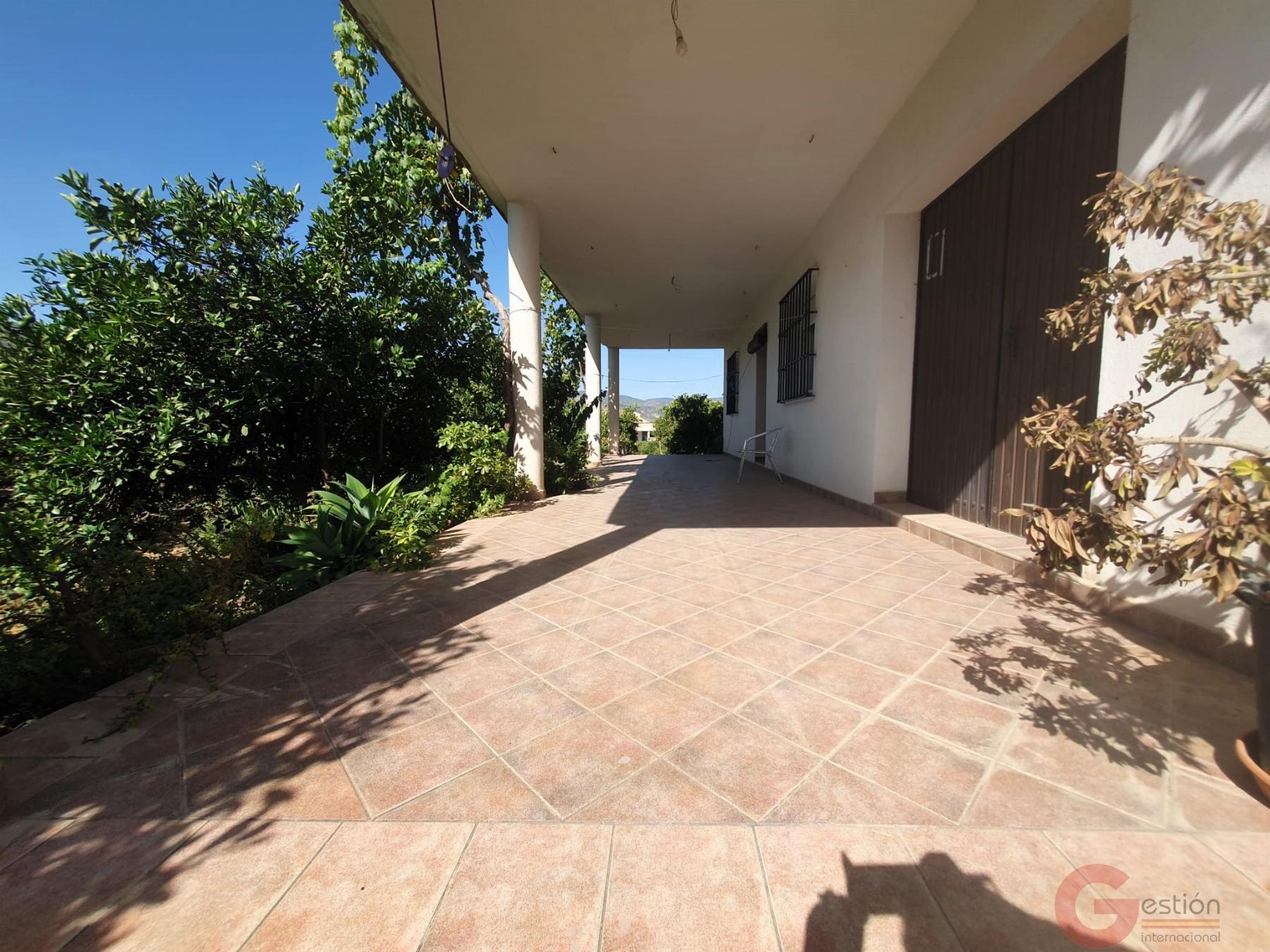 Venta de finca rústica en Lecrín Venta de finca rústica en Lecrín