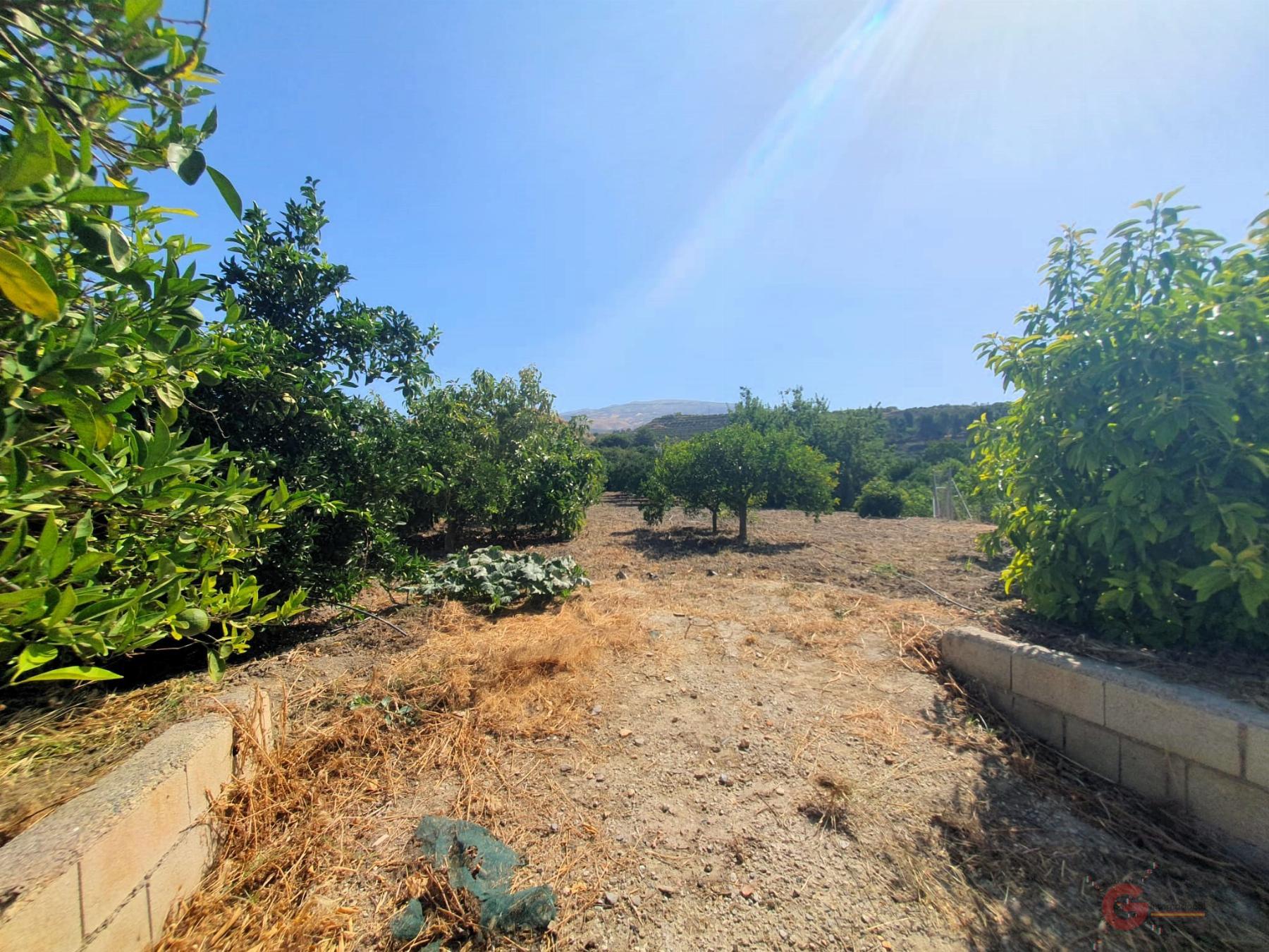 For sale of rural property in Lecrín