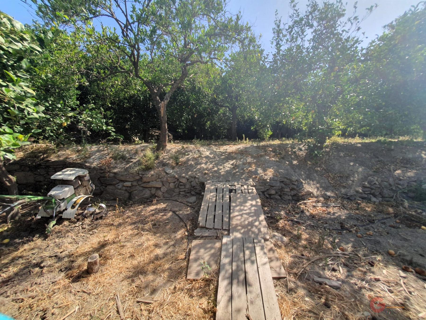 For sale of rural property in Lecrín