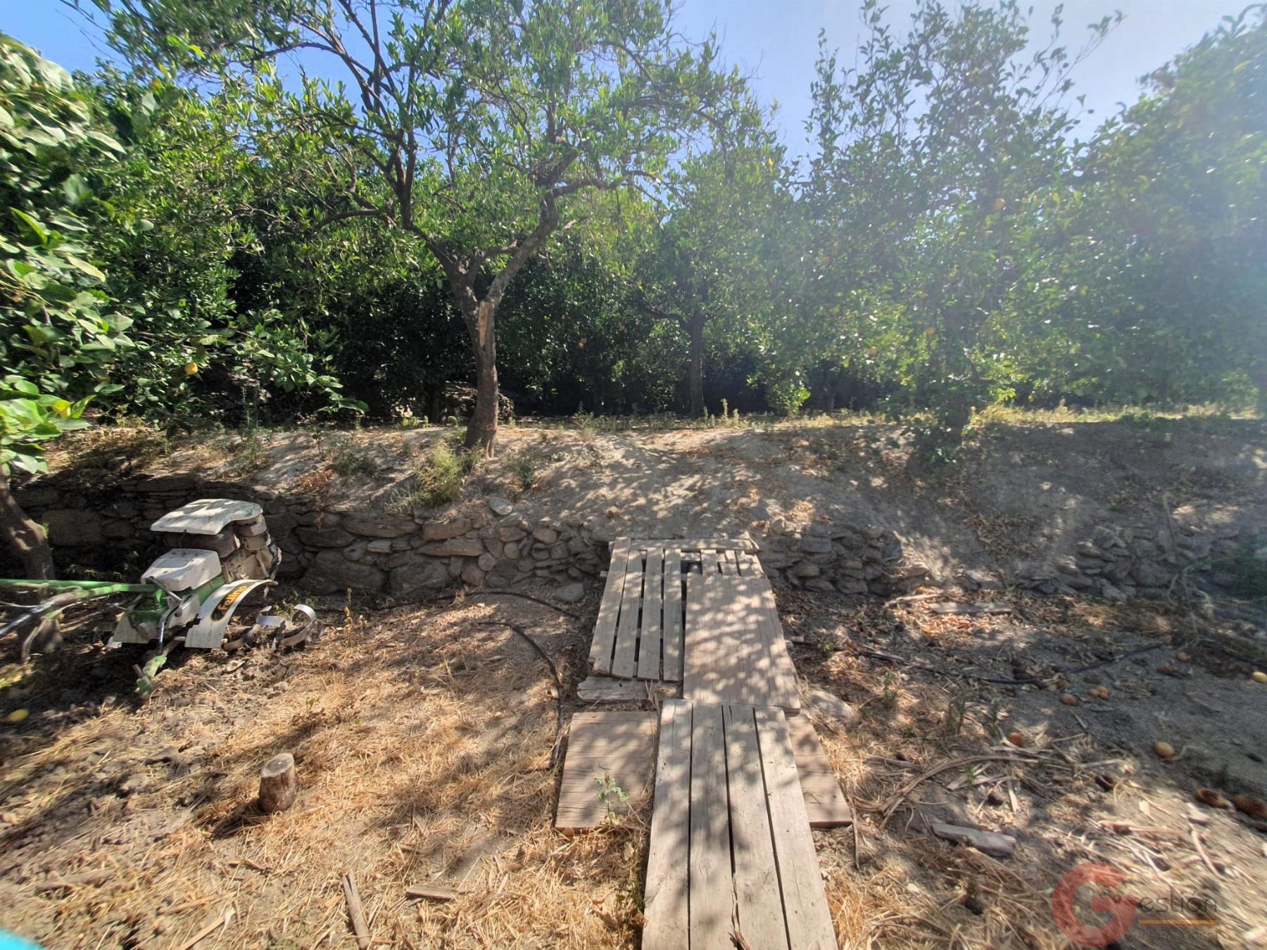 Venta de finca rústica en Lecrín Venta de finca rústica en Lecrín