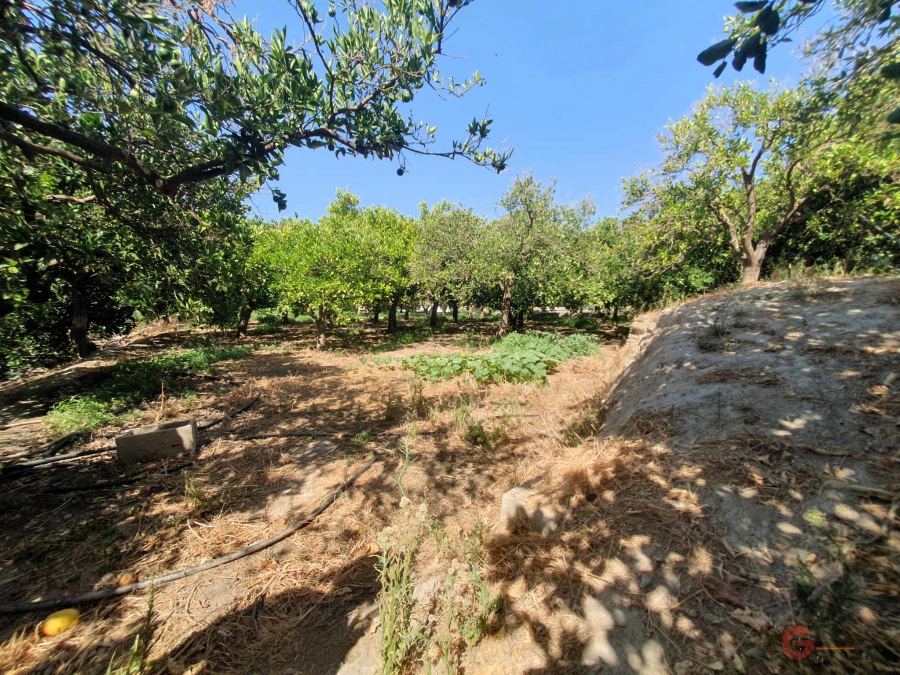For sale of rural property in Lecrín