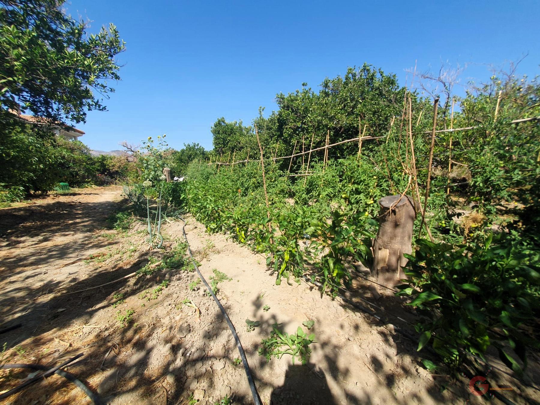 For sale of rural property in Lecrín