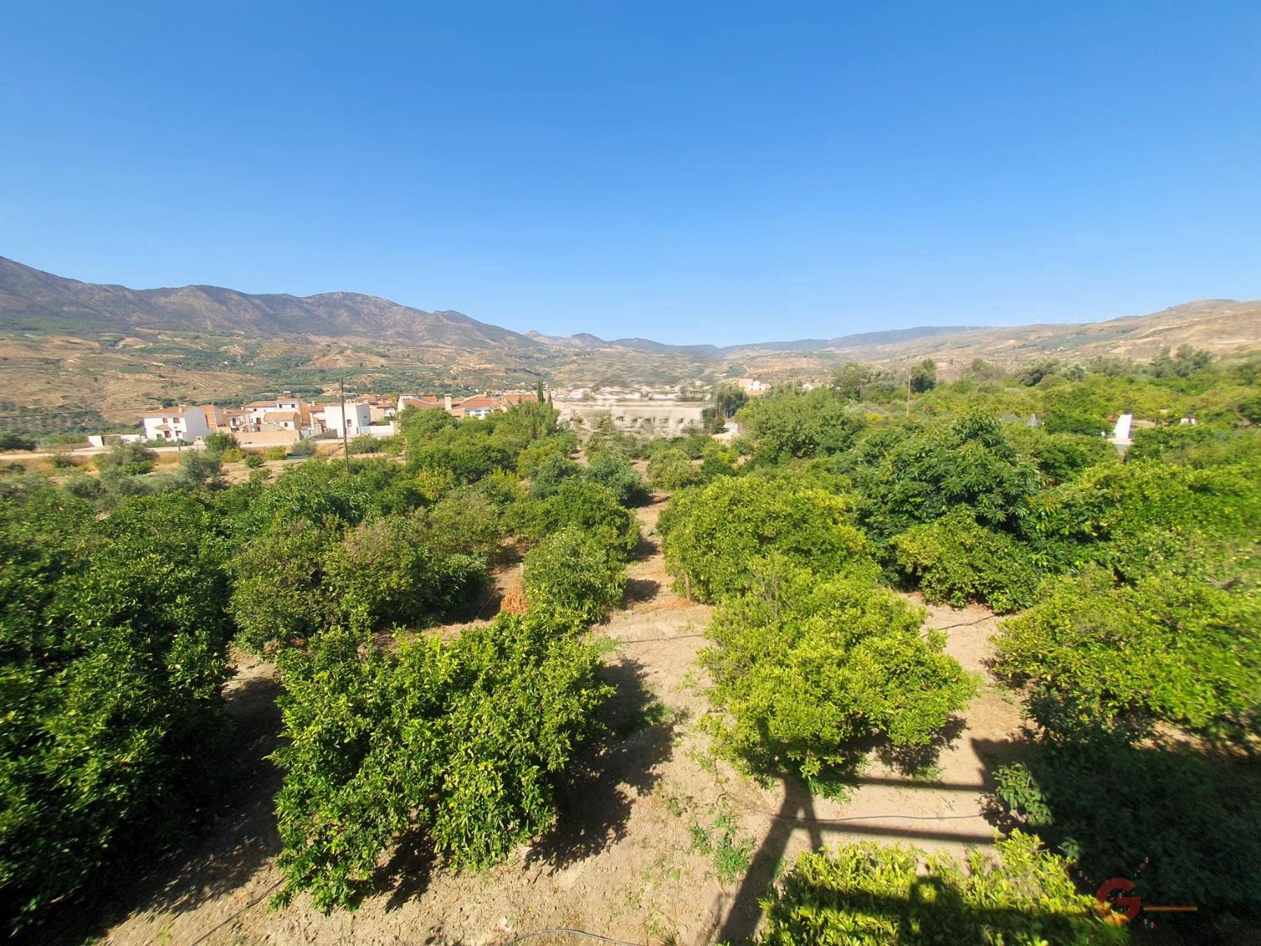 For sale of rural property in Lecrín