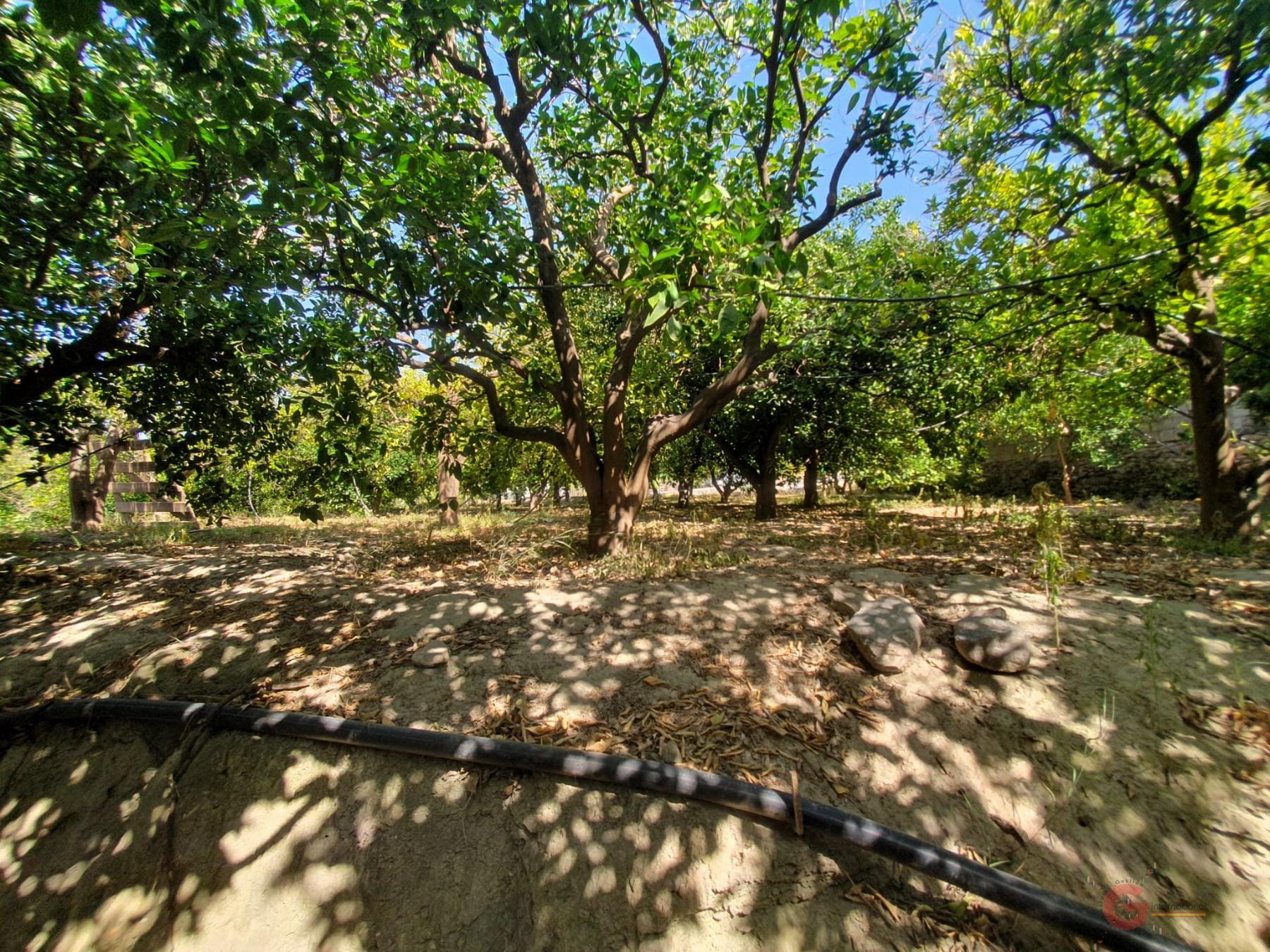 For sale of rural property in Lecrín