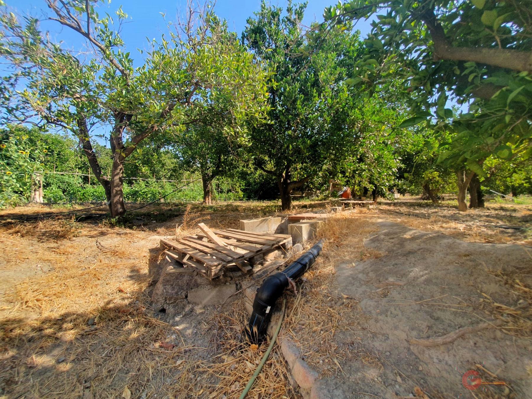 For sale of rural property in Lecrín