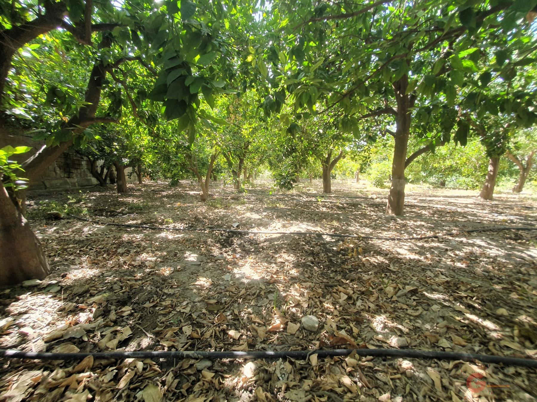 For sale of rural property in Lecrín