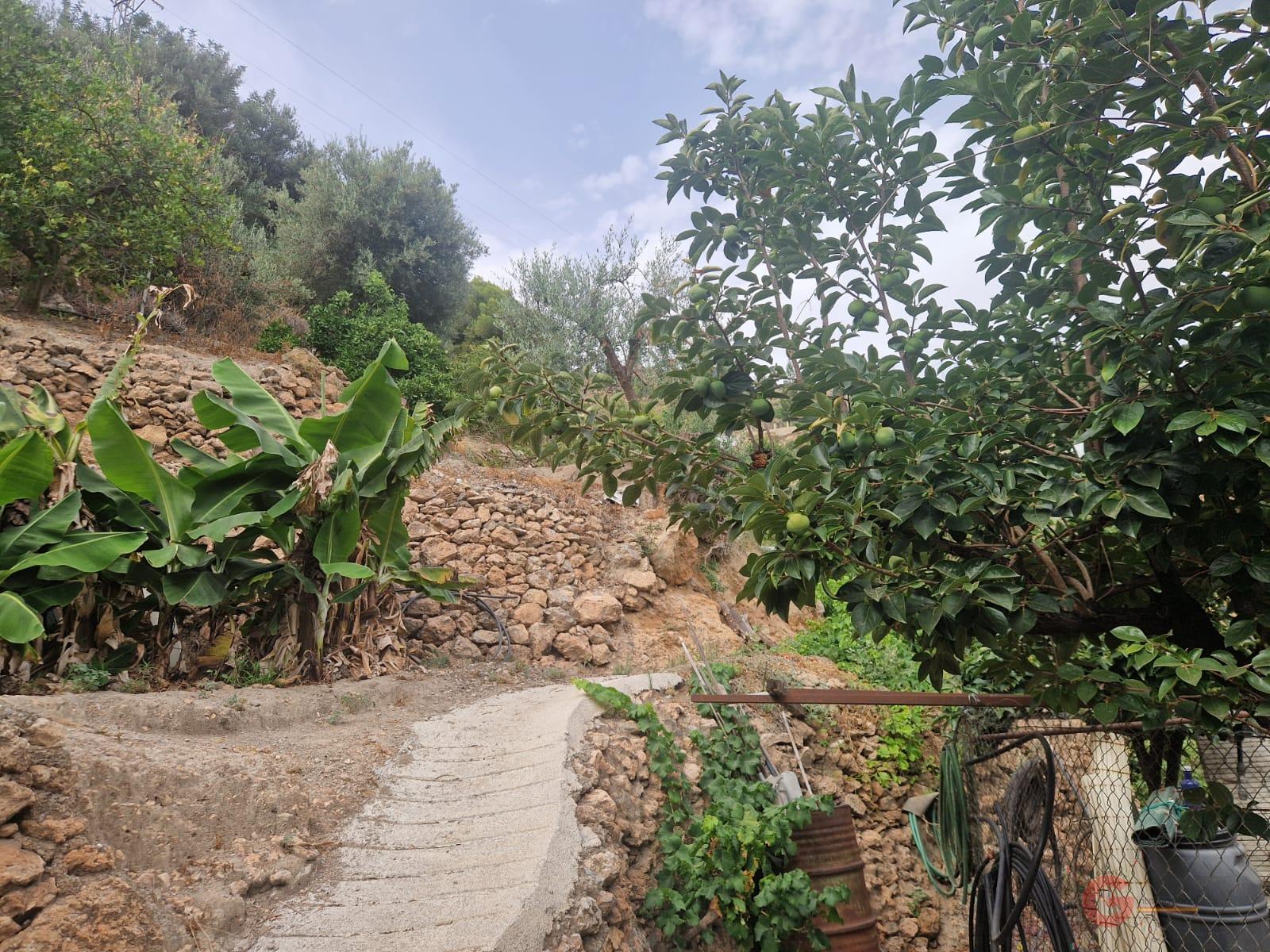Vente de propriété rurale dans Guájar Faragüit