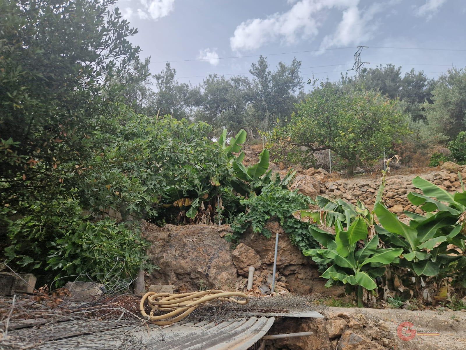 Vente de propriété rurale dans Guájar Faragüit
