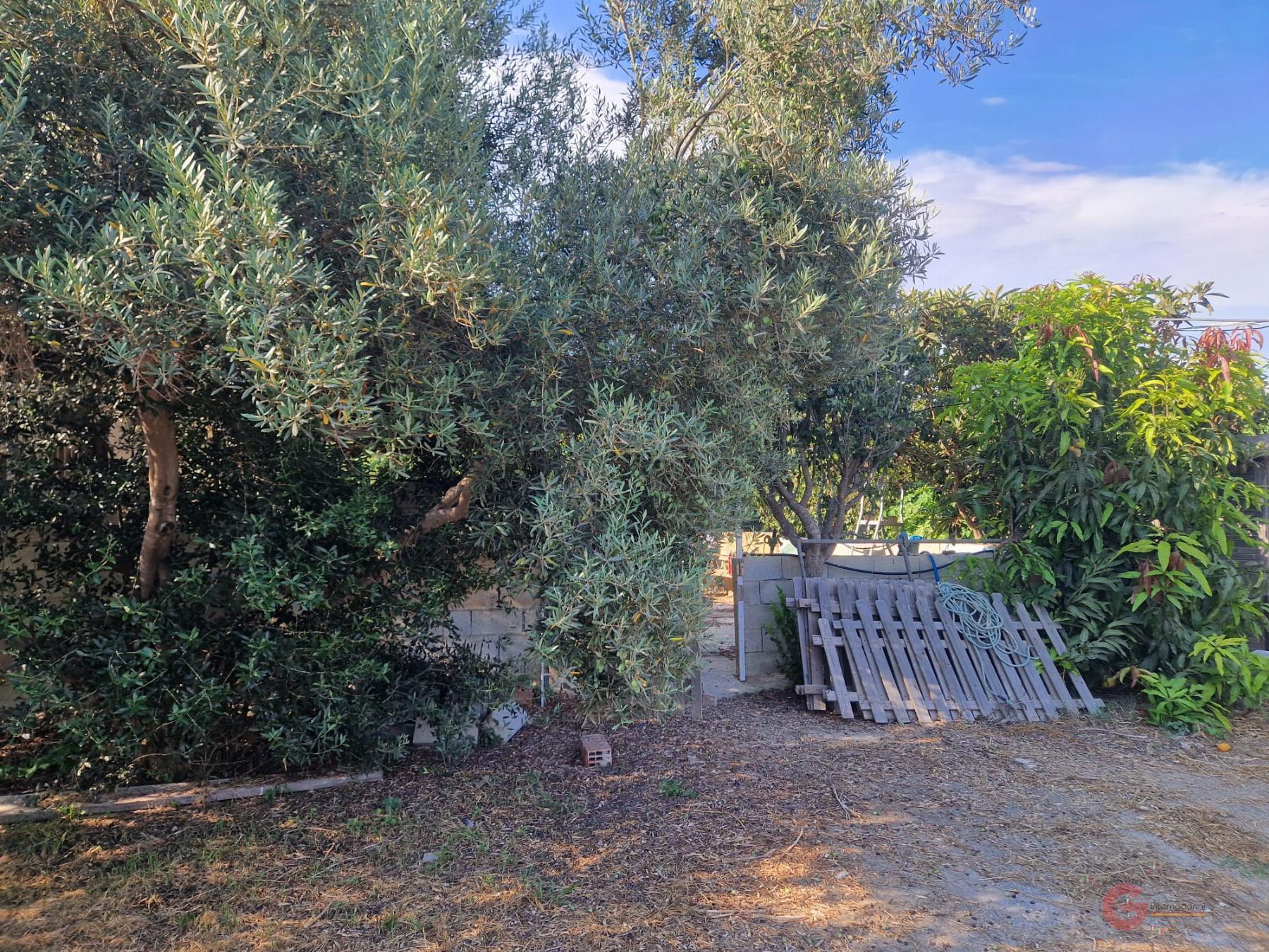 Vente de propriété rurale dans Salobreña