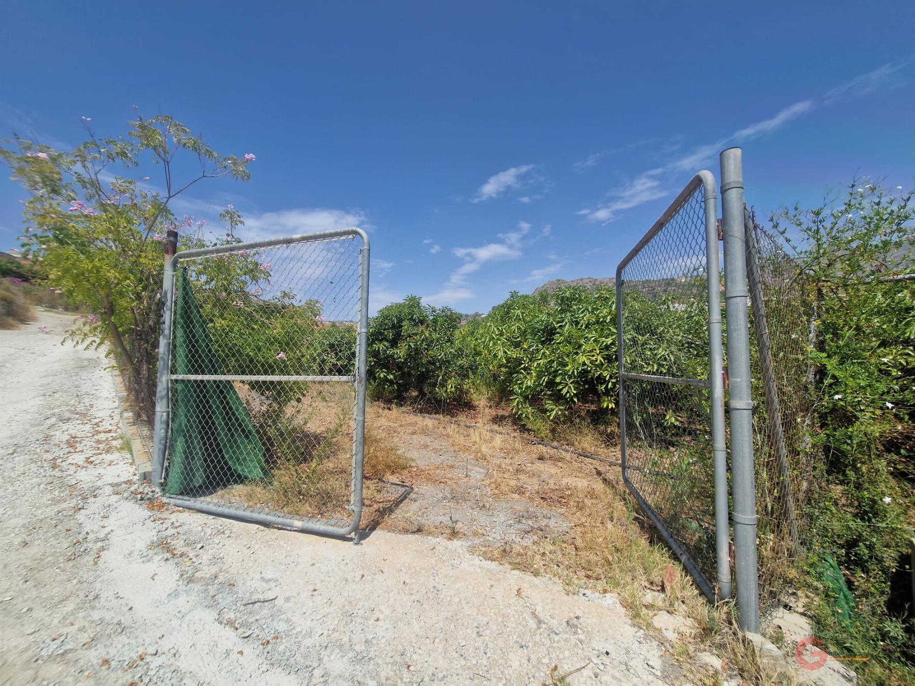 For sale of rural property in Molvízar
