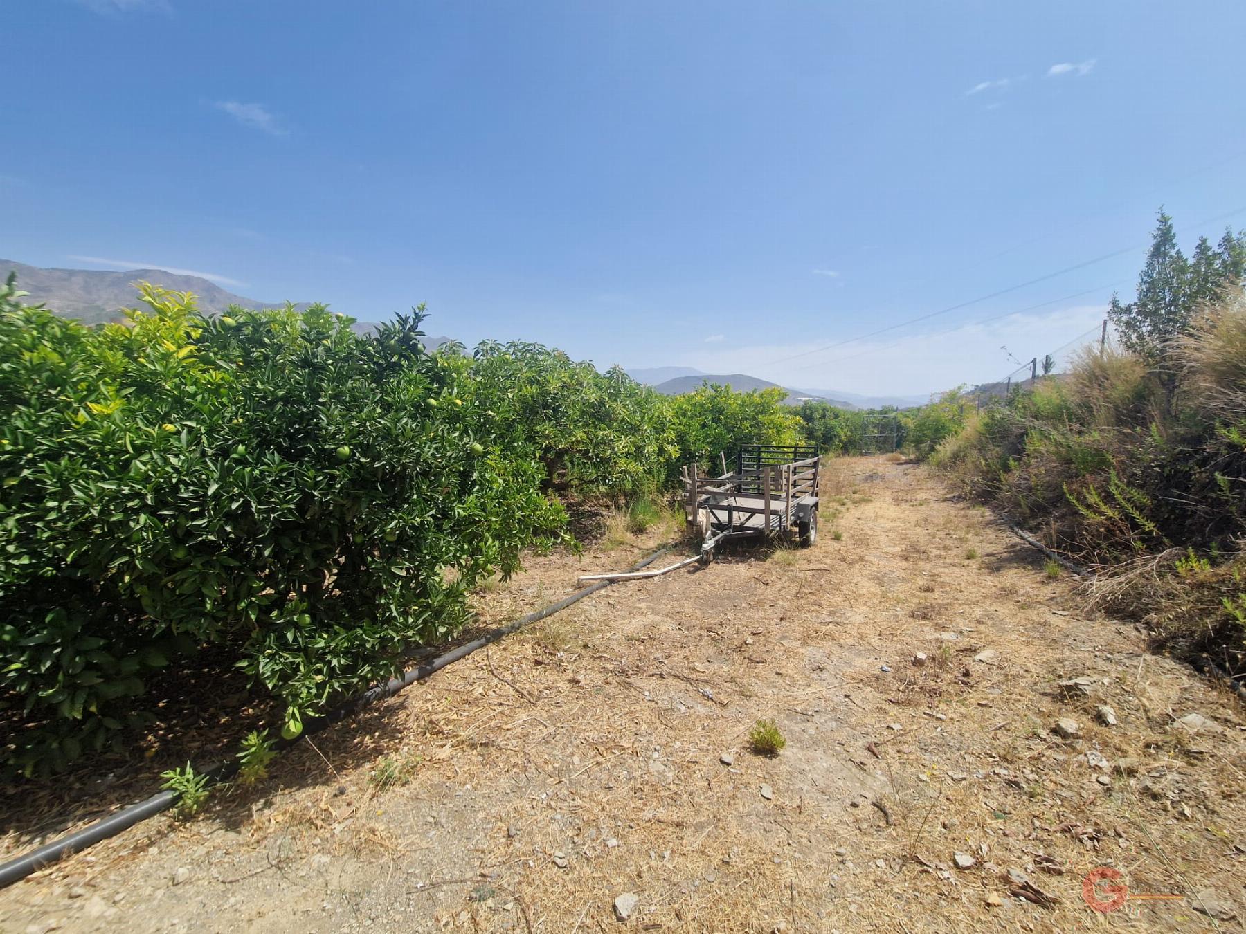 For sale of rural property in Molvízar