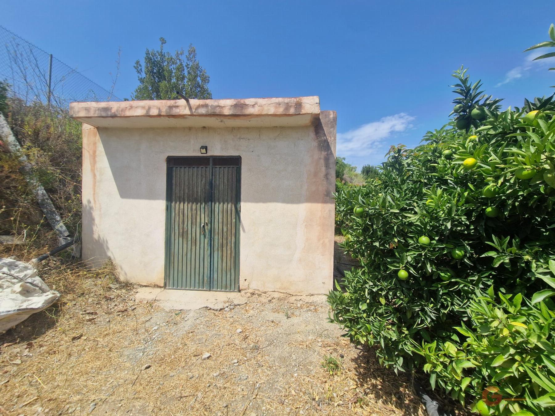 For sale of rural property in Molvízar