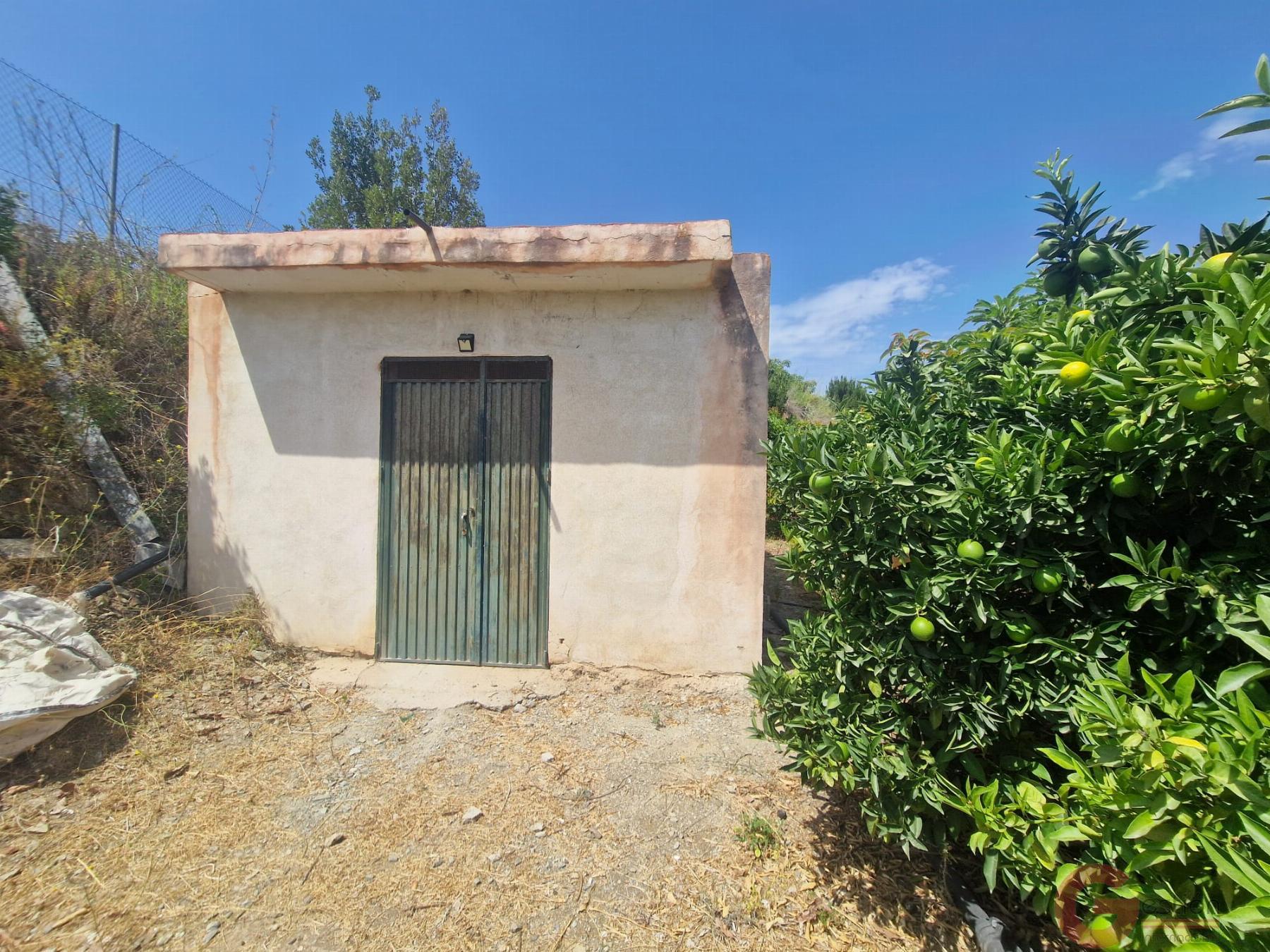 Venta de finca rústica en Molvízar Venta de finca rústica en Molvízar