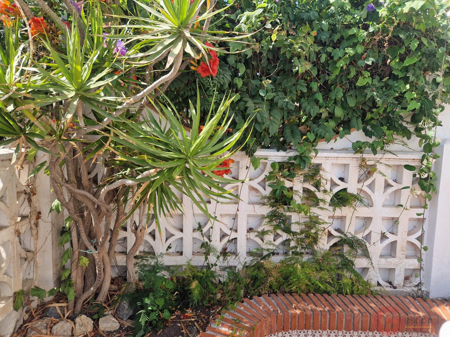 Venta de casa en Salobreña Venta de casa en Salobreña