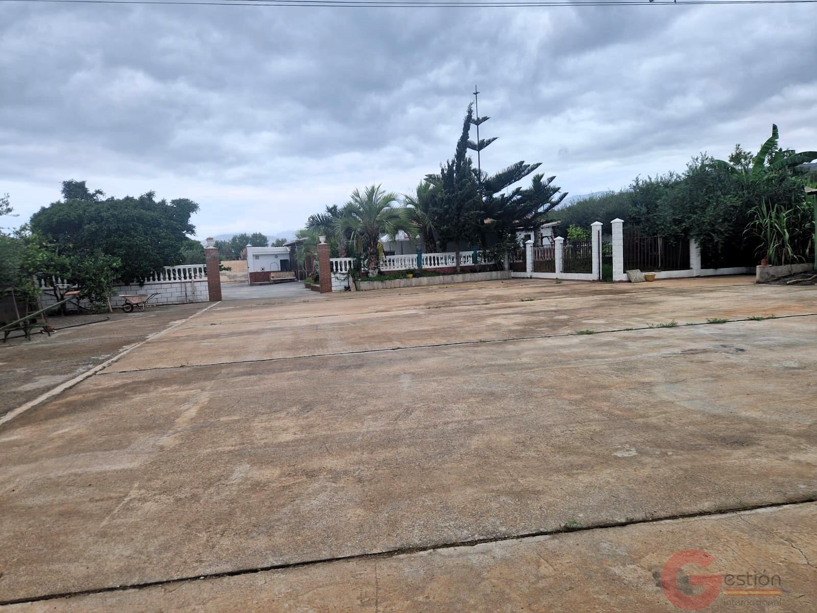 Venta de finca rústica en Motril Venta de finca rústica en Motril