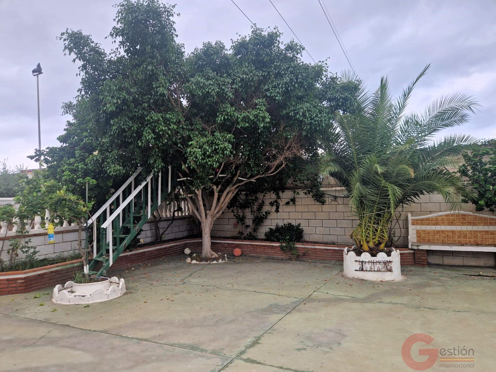 Venta de finca rústica en Motril Venta de finca rústica en Motril