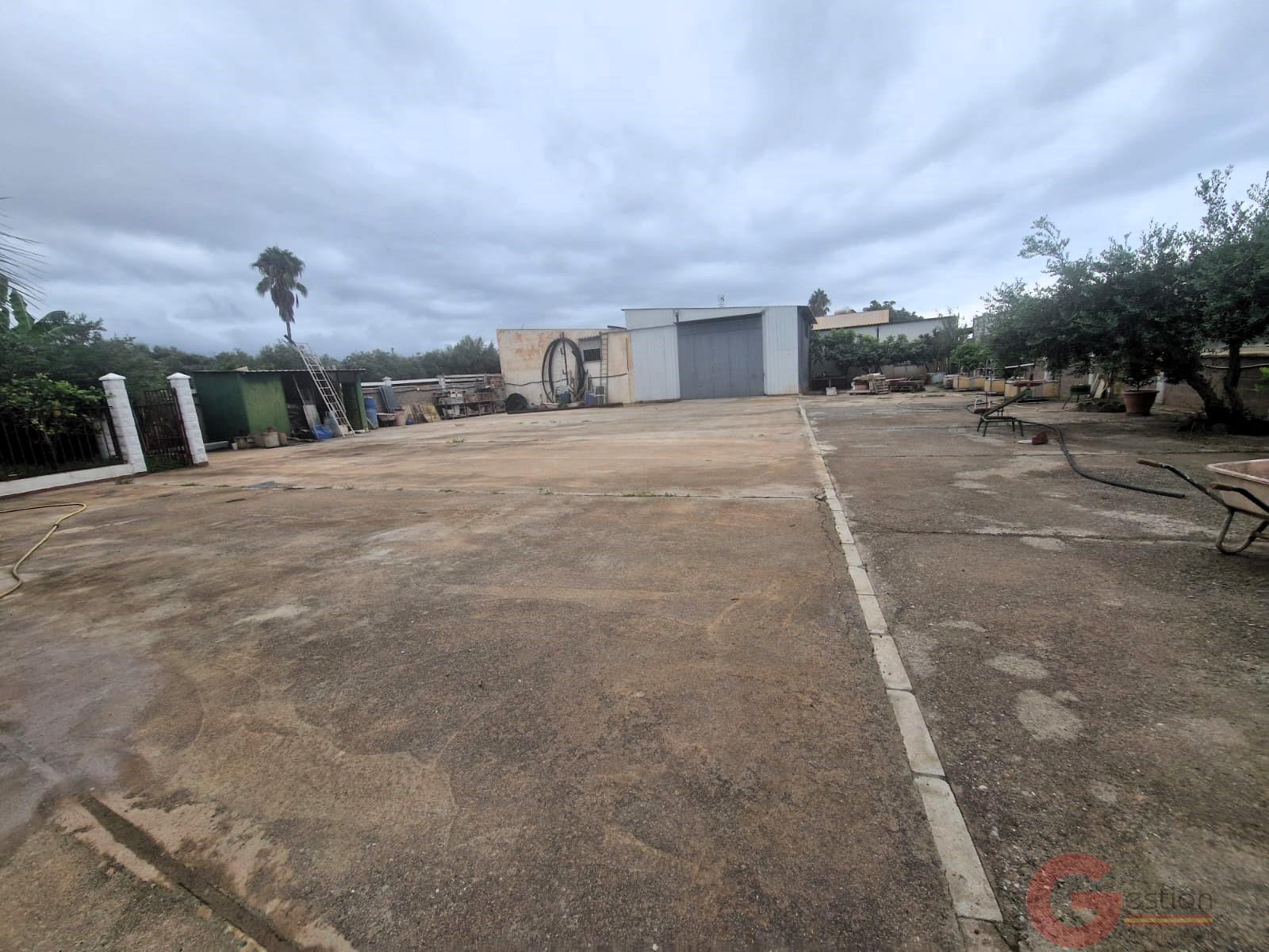 Venta de finca rústica en Motril Venta de finca rústica en Motril