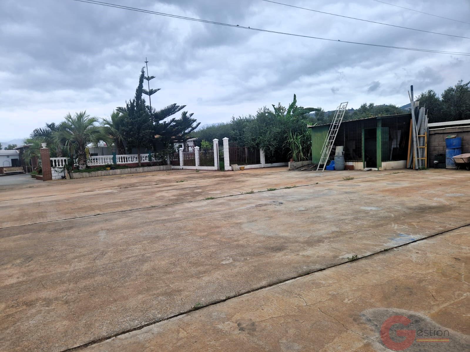 Venta de finca rústica en Motril Venta de finca rústica en Motril