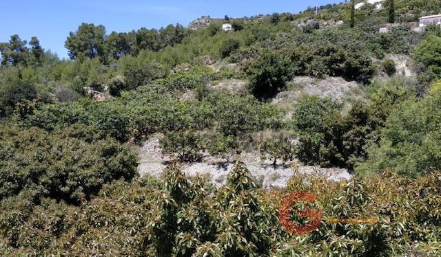 Vente de terrain dans Jete